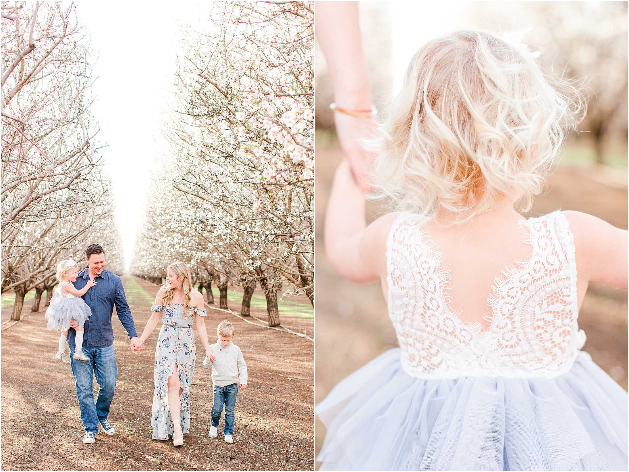 Chico California Almond Blossoms Spring Family Portraits,