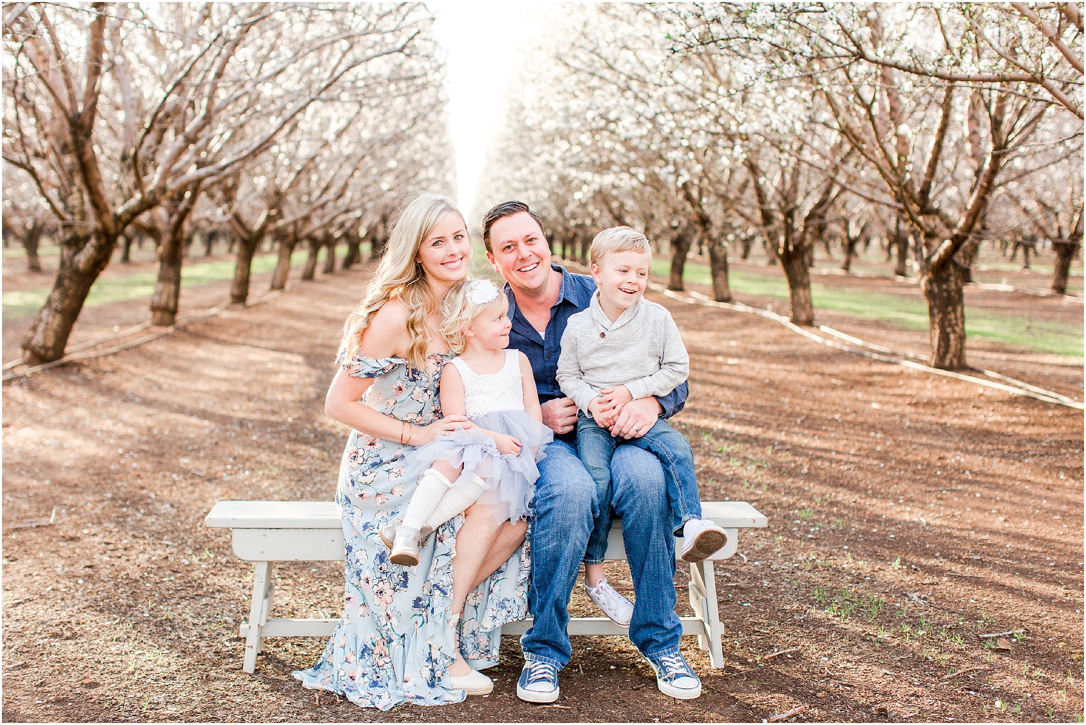 Chico California Almond Blossoms Spring Family Portraits,