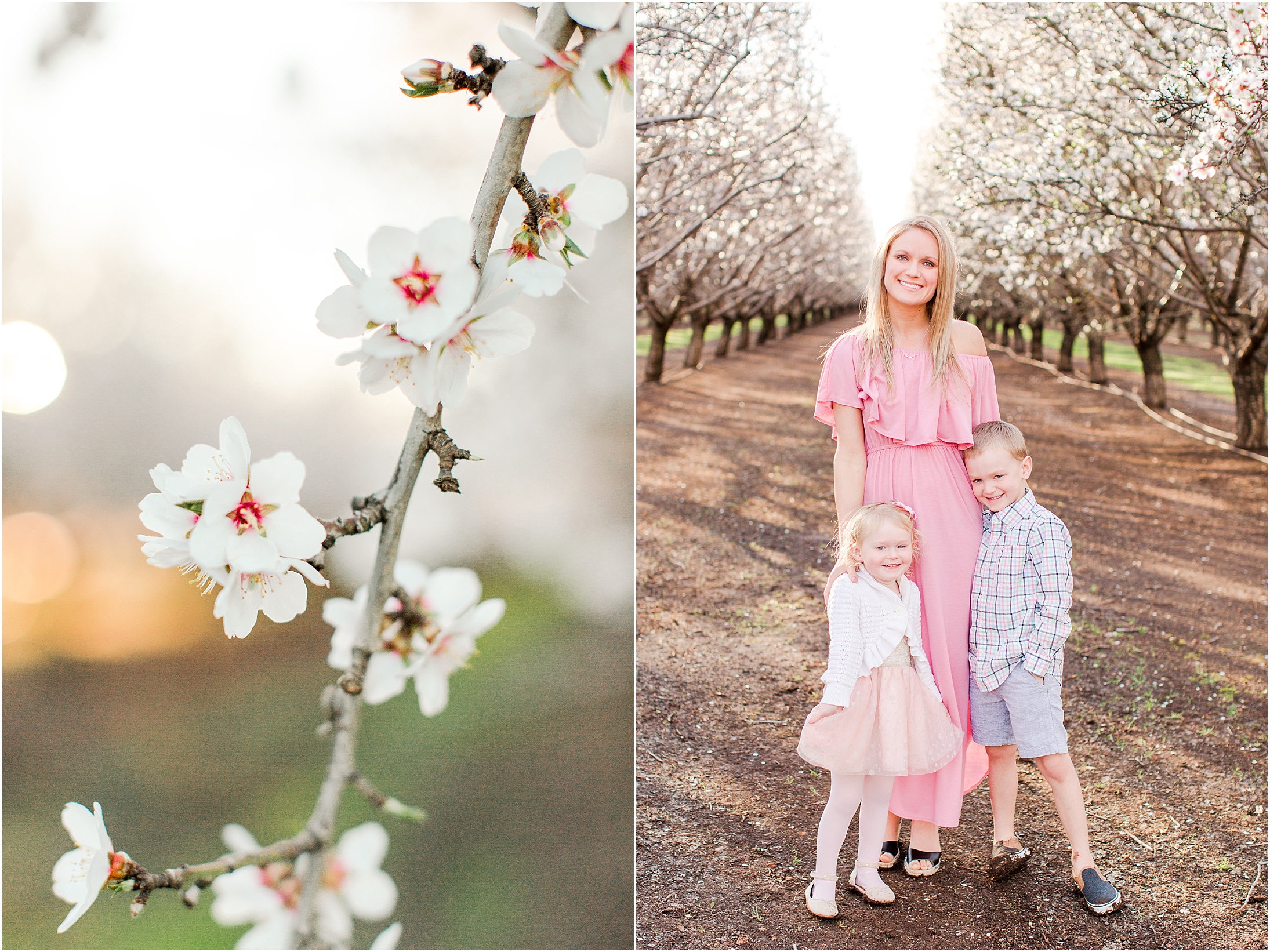 CA Almond Blossoms Family Portrait Session,Chico,