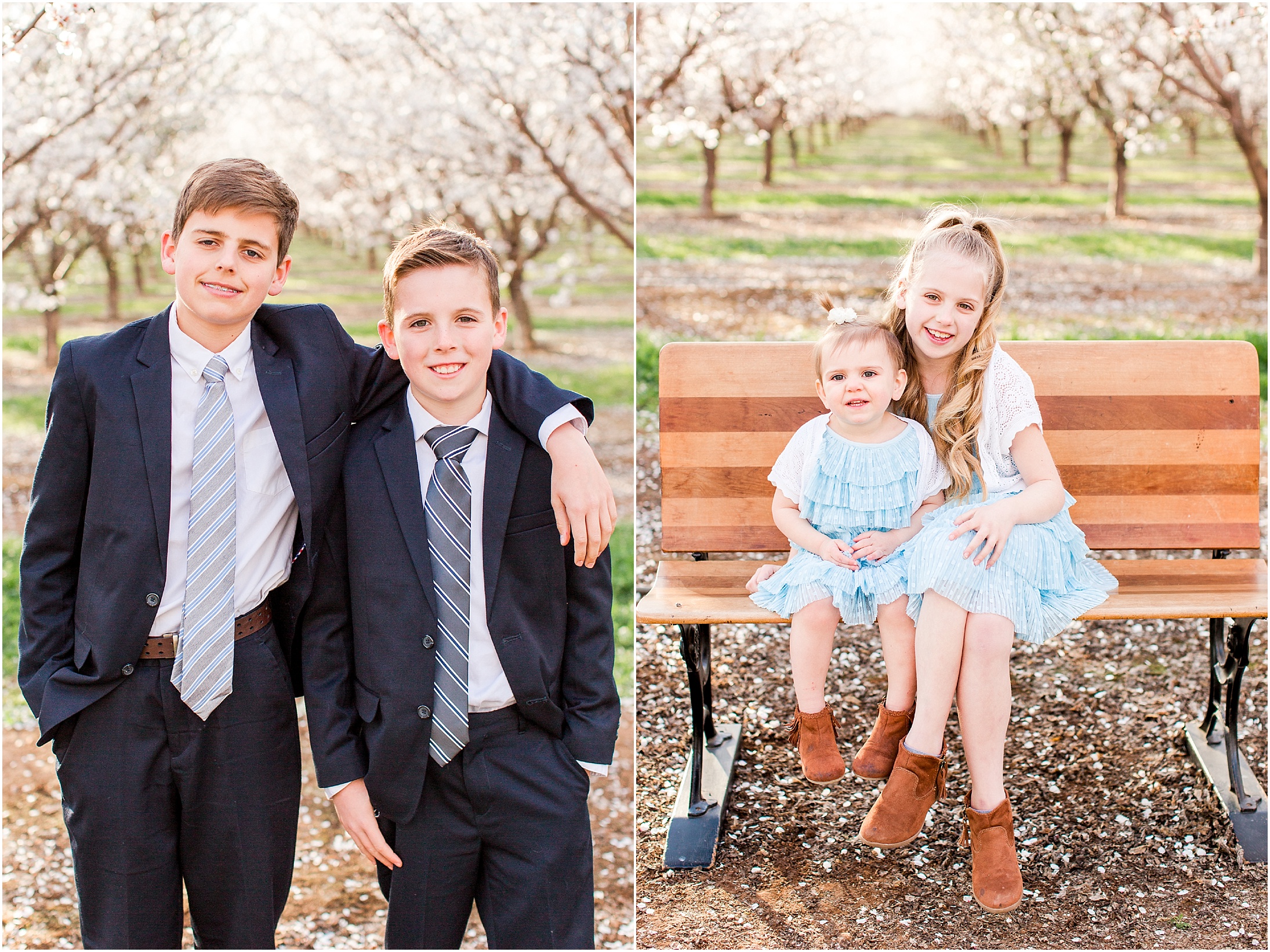 Chico CA Almond Blossoms Spring Family Portraits,