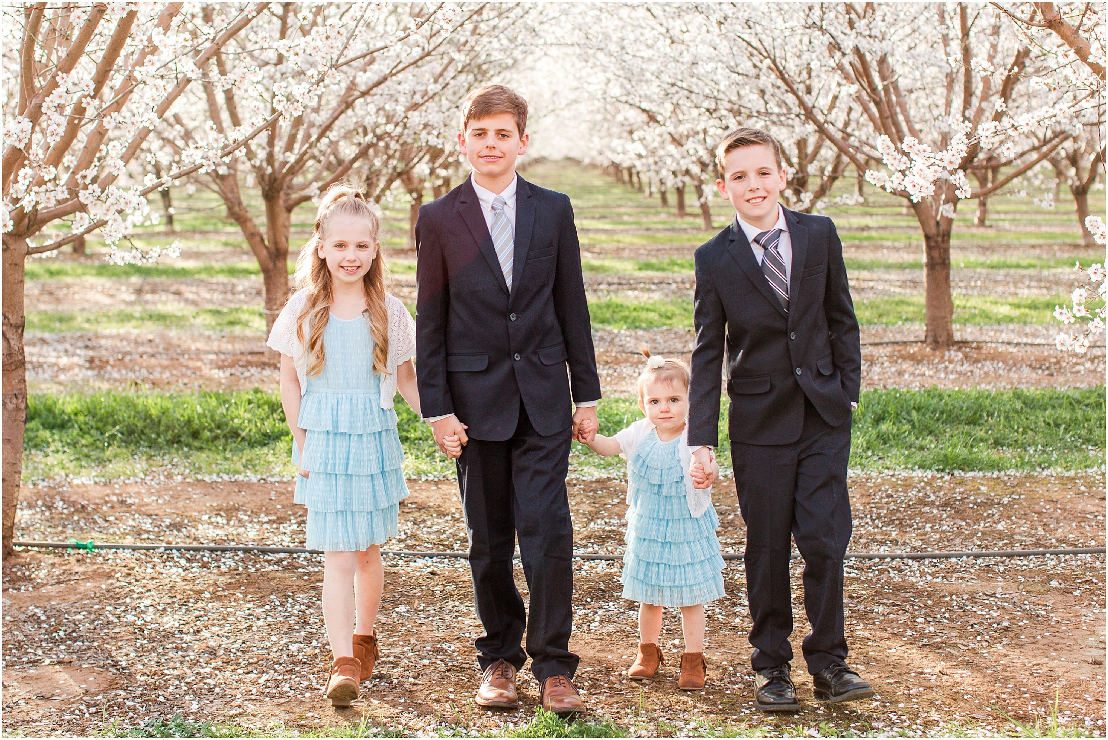 Chico CA Almond Blossoms Spring Family Portraits,