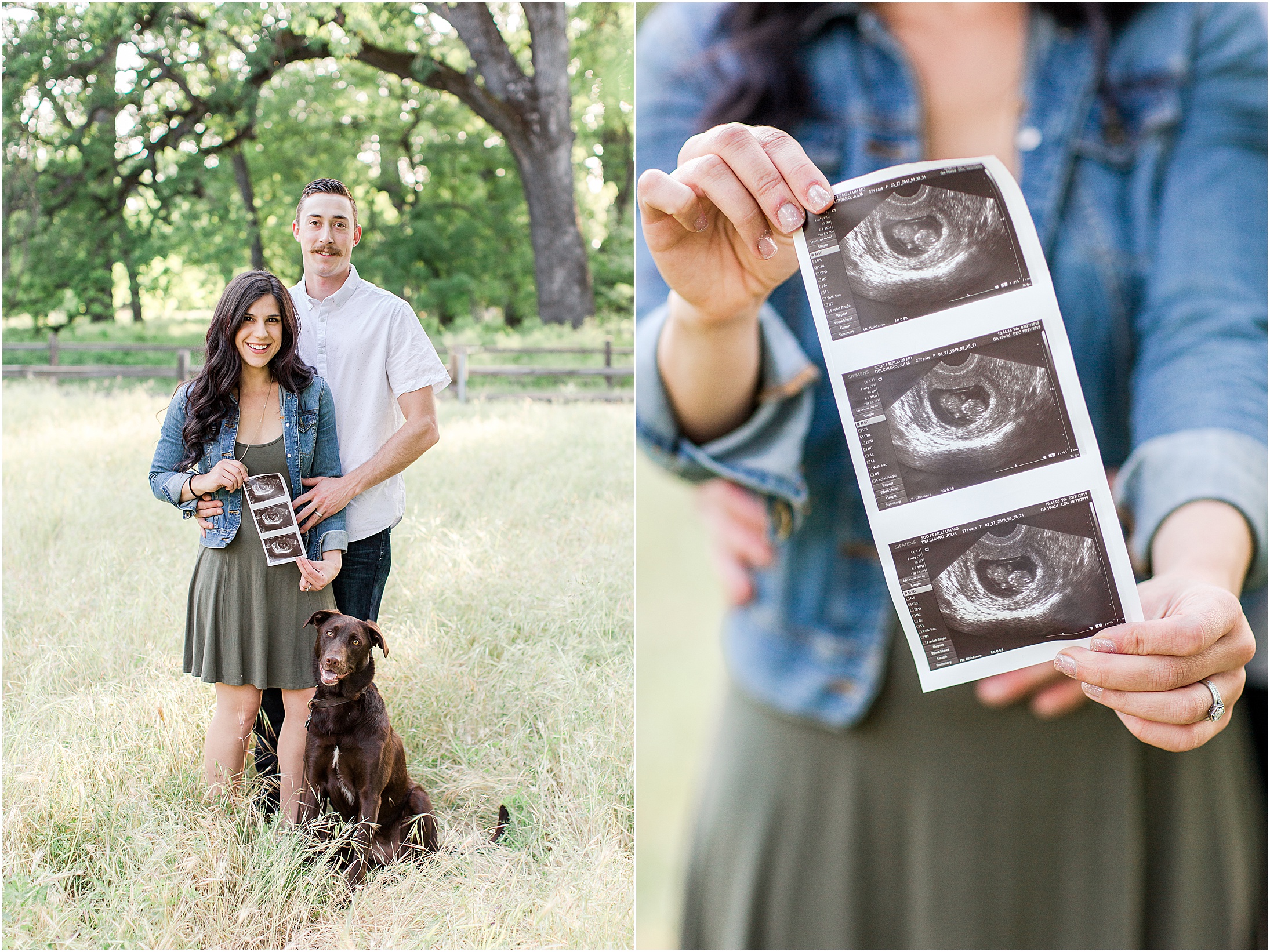 Bidwell Park Chico California Pregnancy Announcement Ultrasound Letterboard Dog,