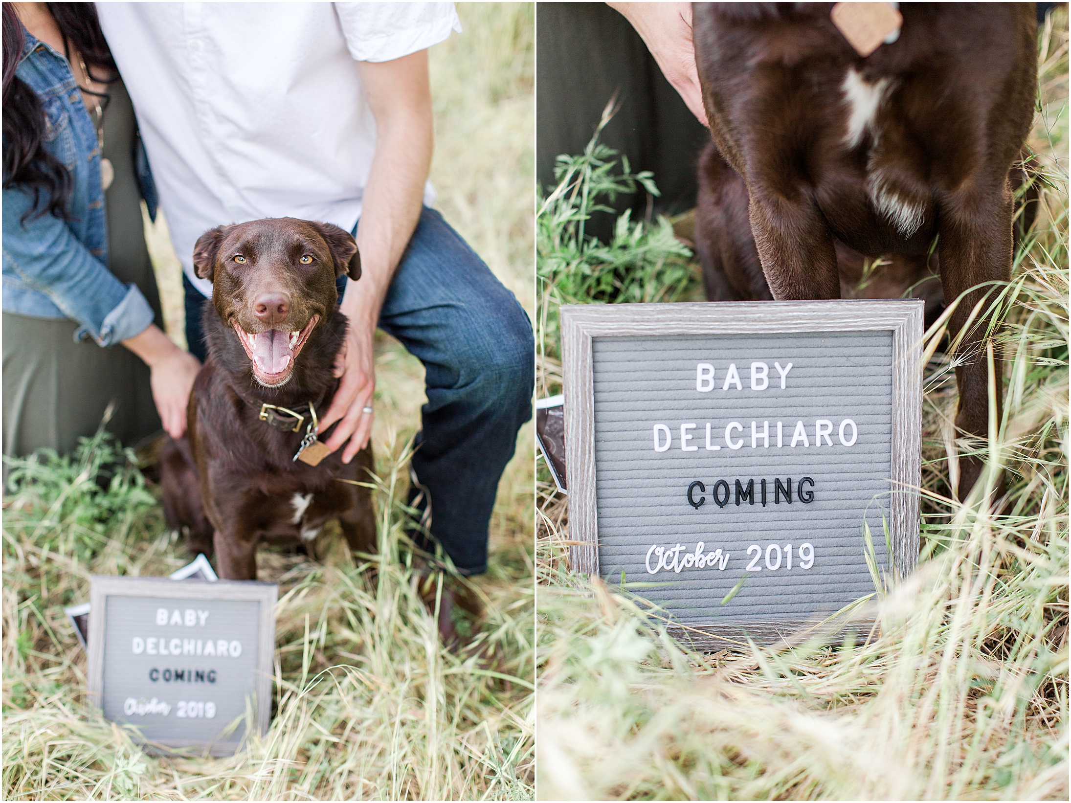 Bidwell Park Chico California Pregnancy Announcement Ultrasound Letterboard Dog,