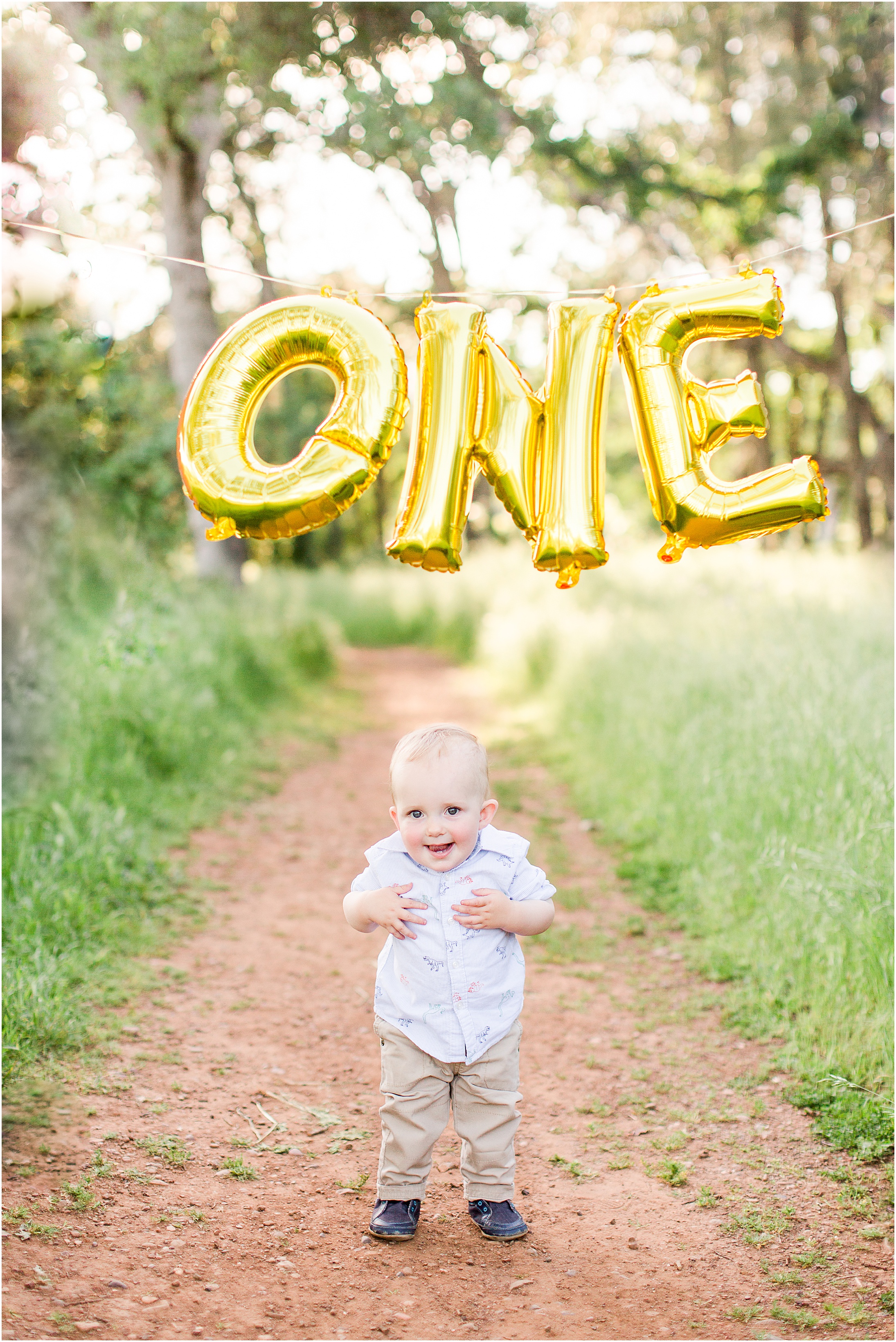 Upper Bidwell Park One Year Old Family Session Balloons Dinosaurs,