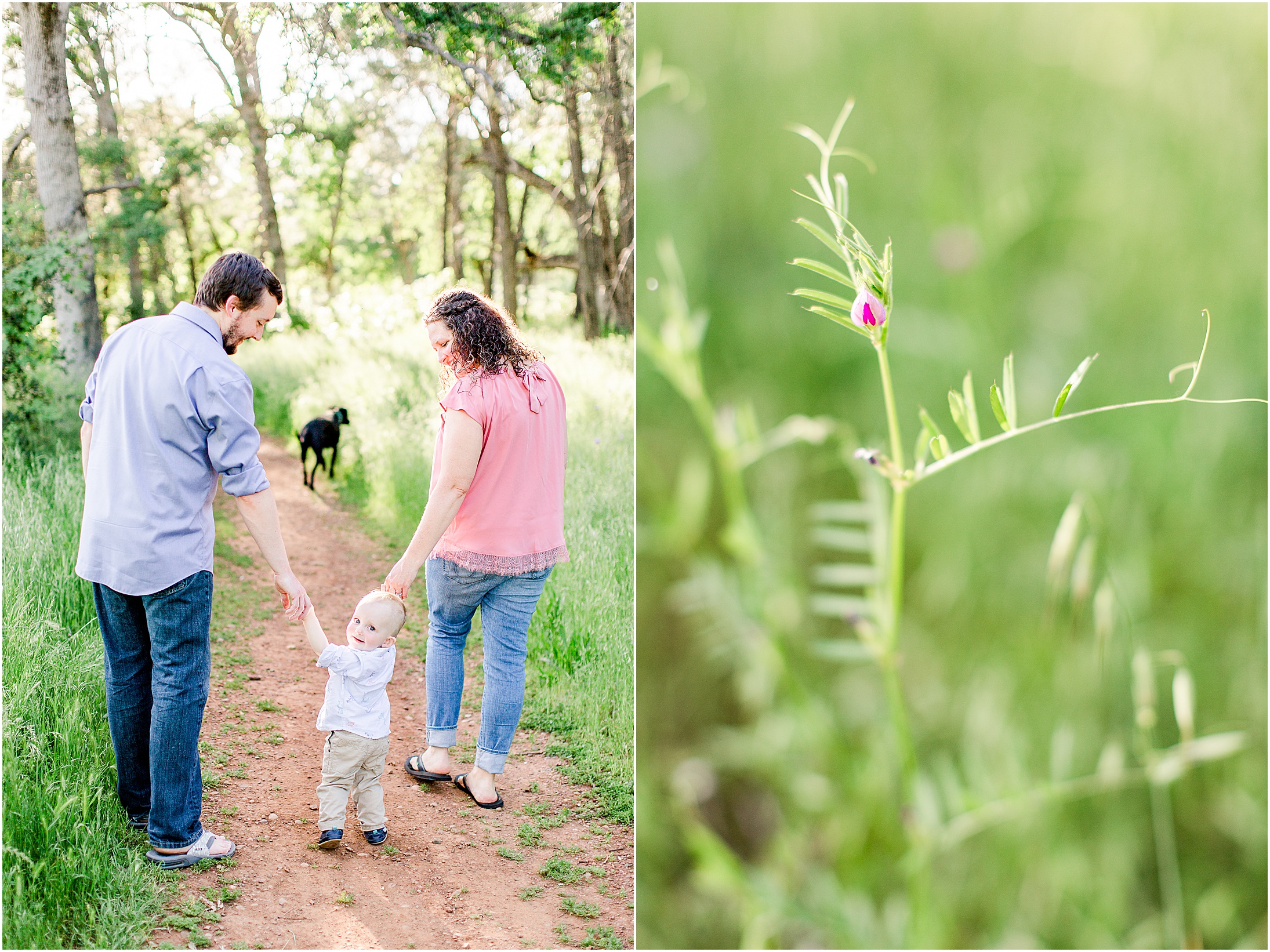 Upper Bidwell Park One Year Old Family Session Balloons Dinosaurs,