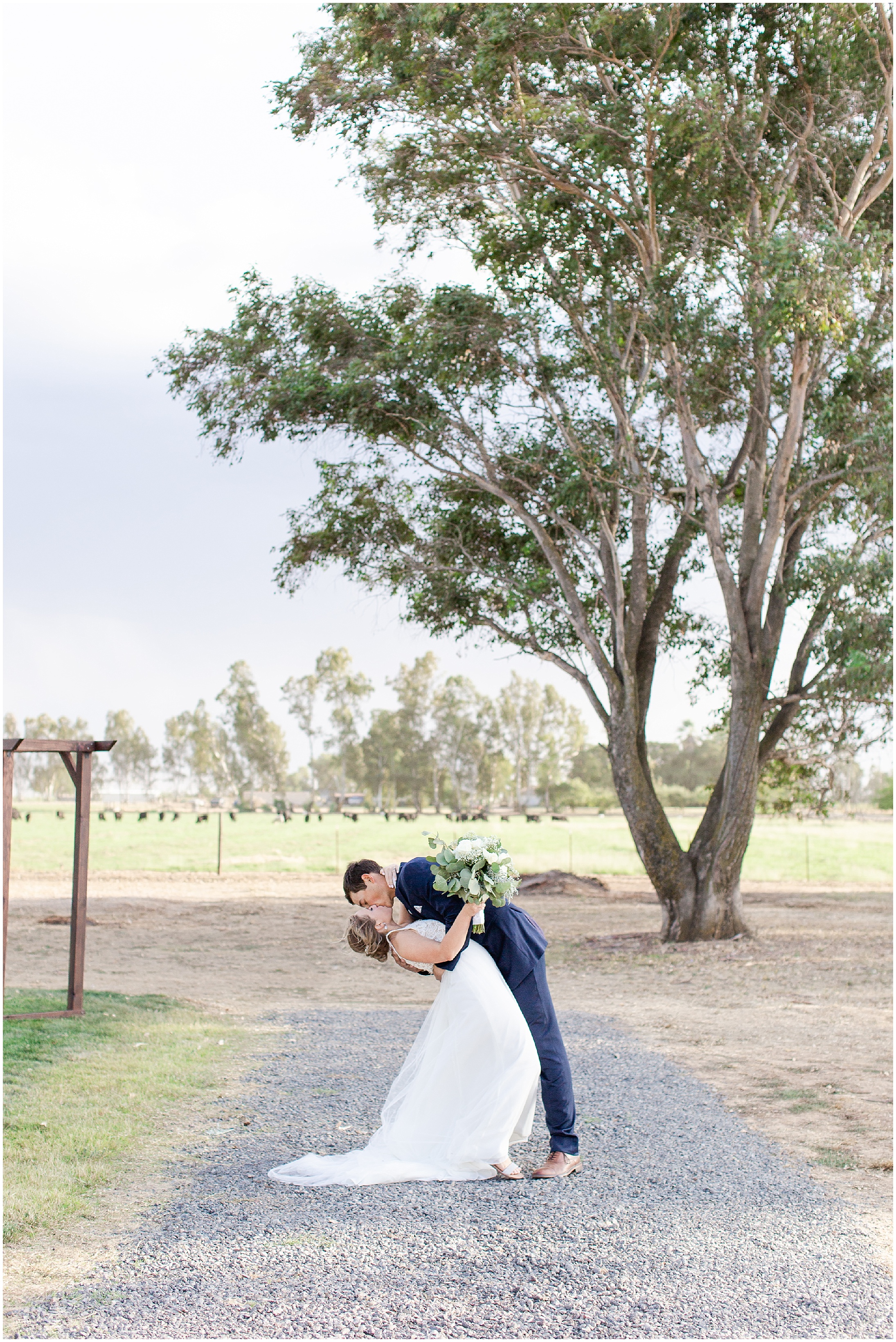 Fall Country Wedding with Tree | Karah and Dan Wedding