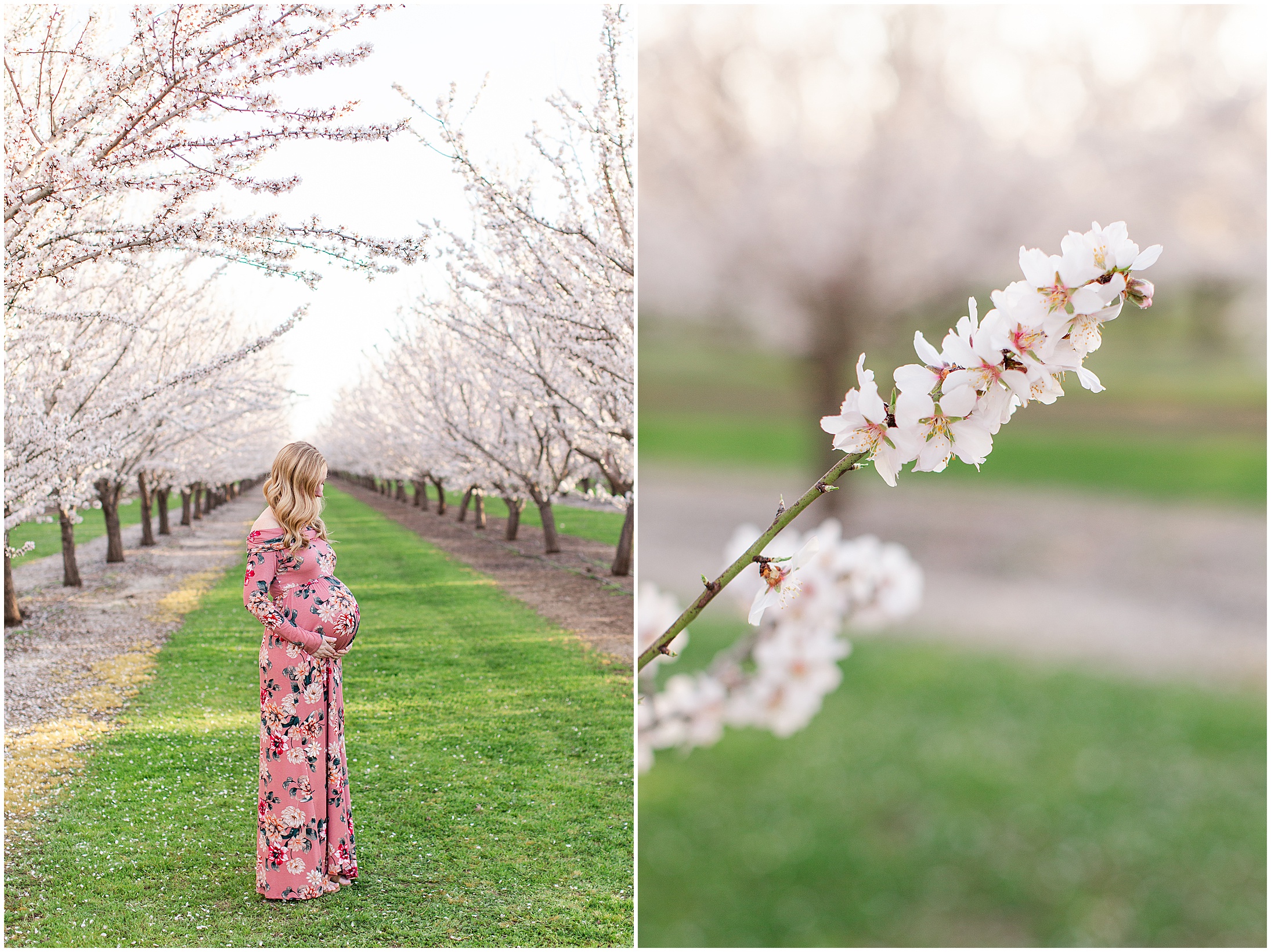 Almond Blossom Maternity Session Durham California Spring_0005.jpg