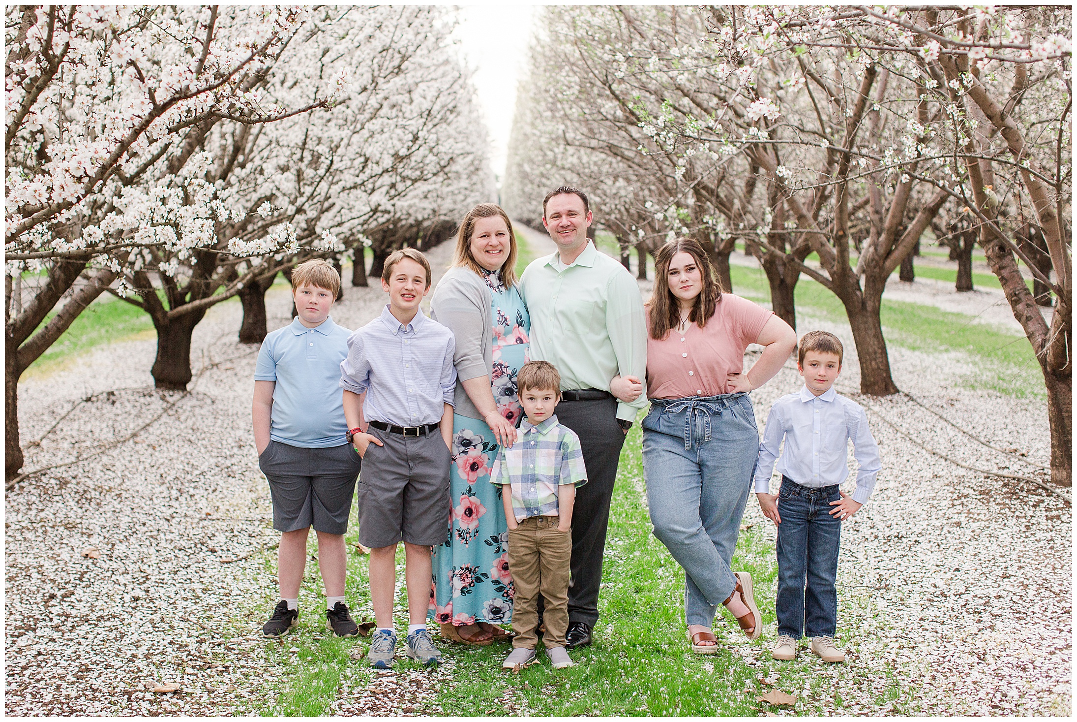 Spring Almond Blossoms Family Session Chico California Soft Pastels,
