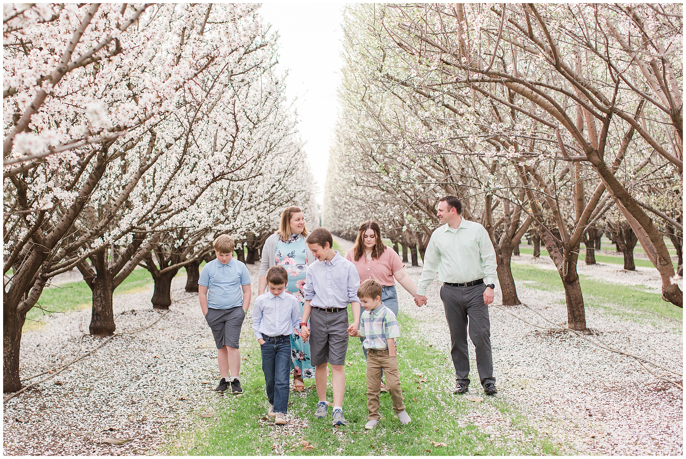 Spring Almond Blossoms Family Session Chico California Soft Pastels,