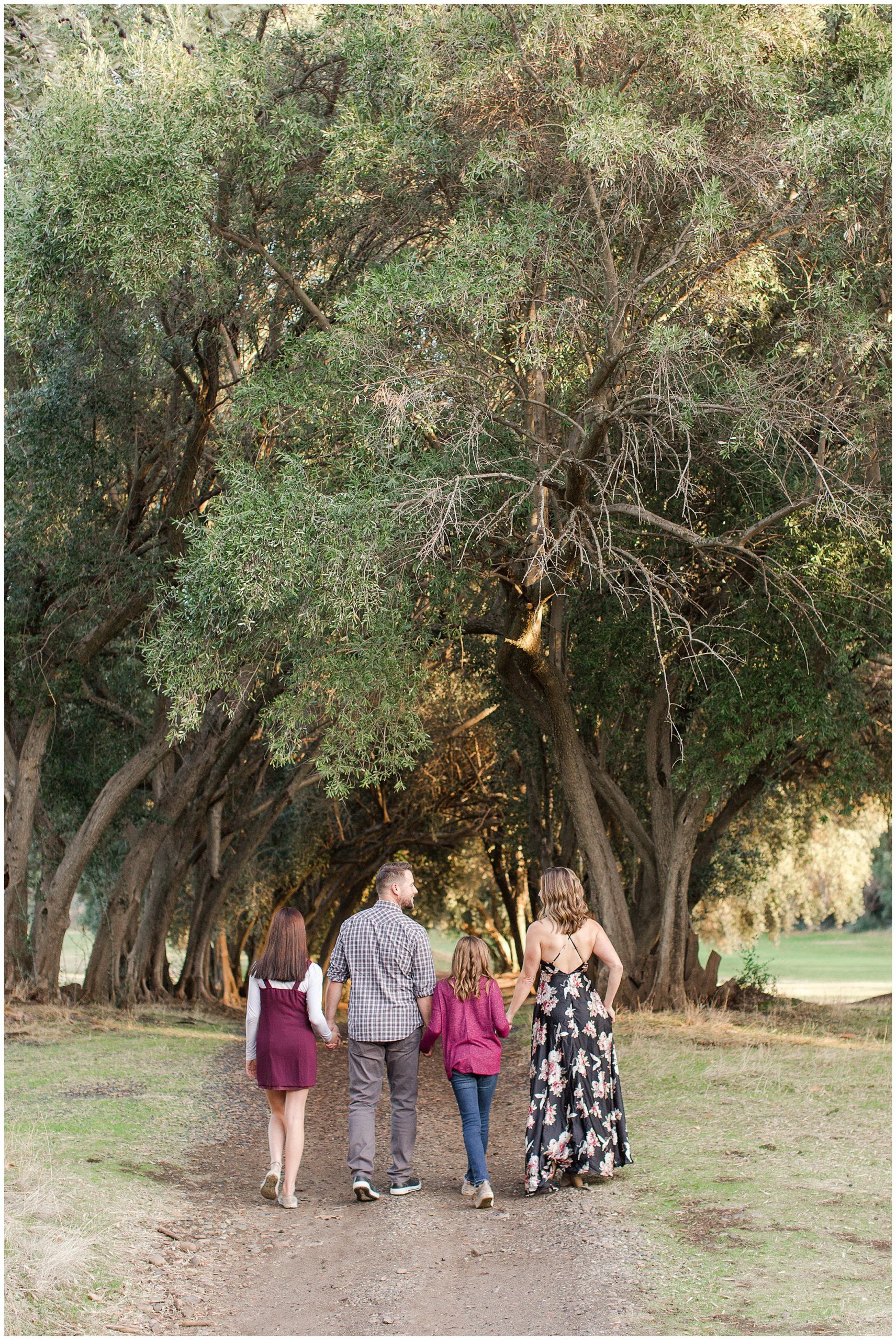 Bidwell Park Golf Course Fall Family Portraits Olive Trees,