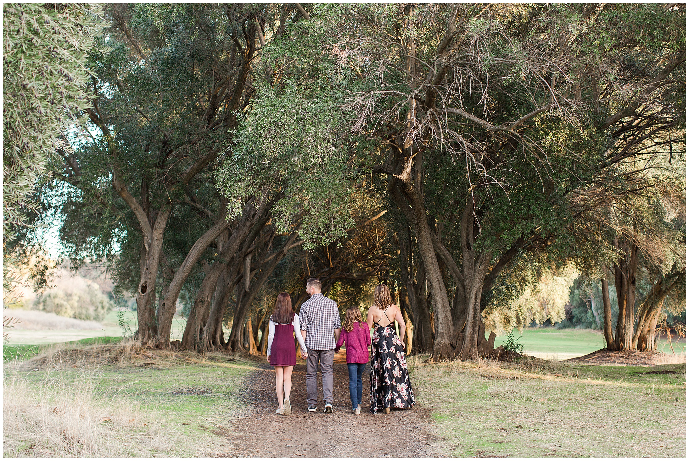 Bidwell Park Golf Course Fall Family Portraits Olive Trees,