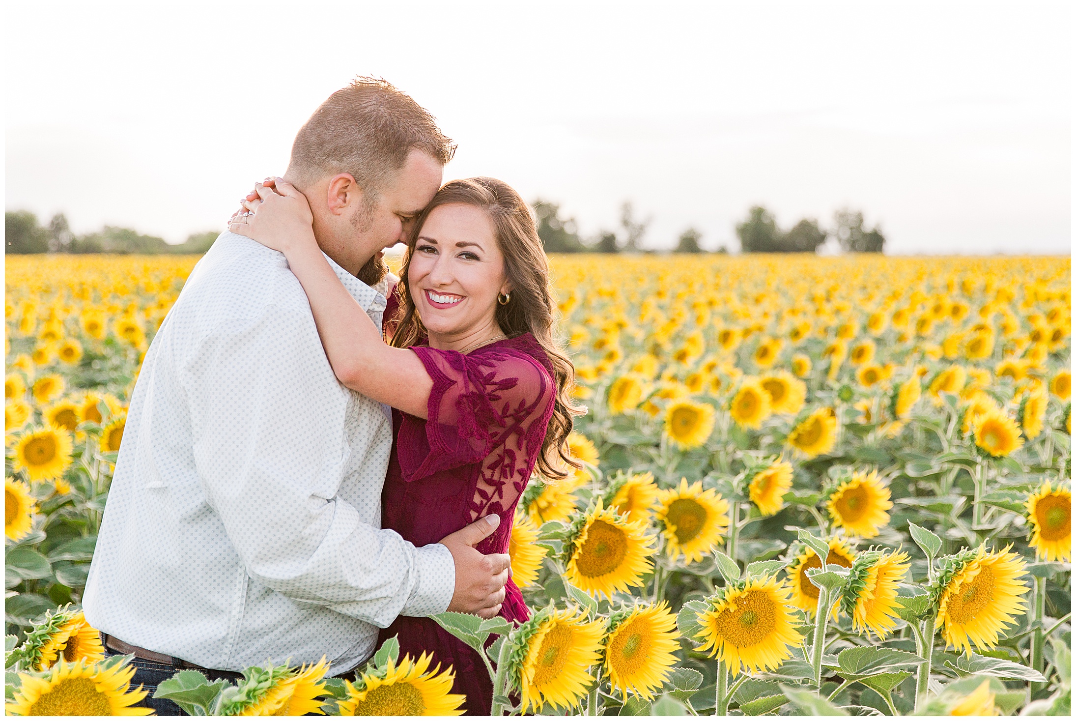 Willows Engagement Session Sunflowers Windmill Orchard Dog,