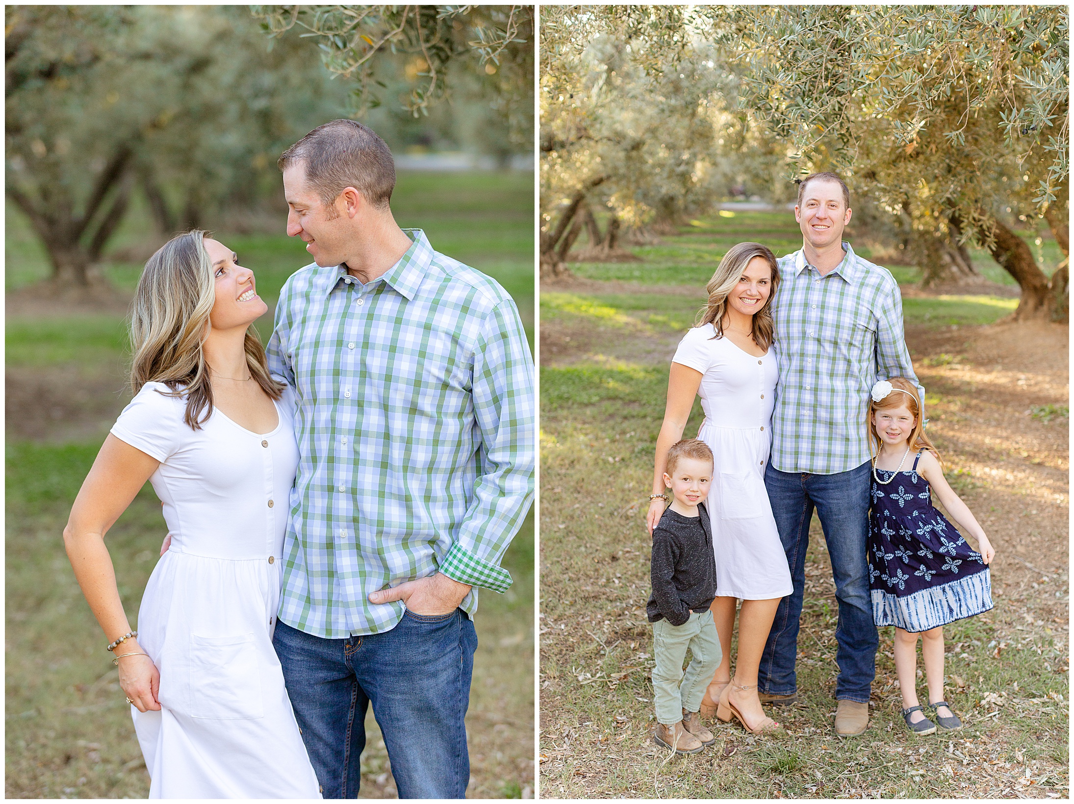 Olive Trees Orland CA Family Session Fall,