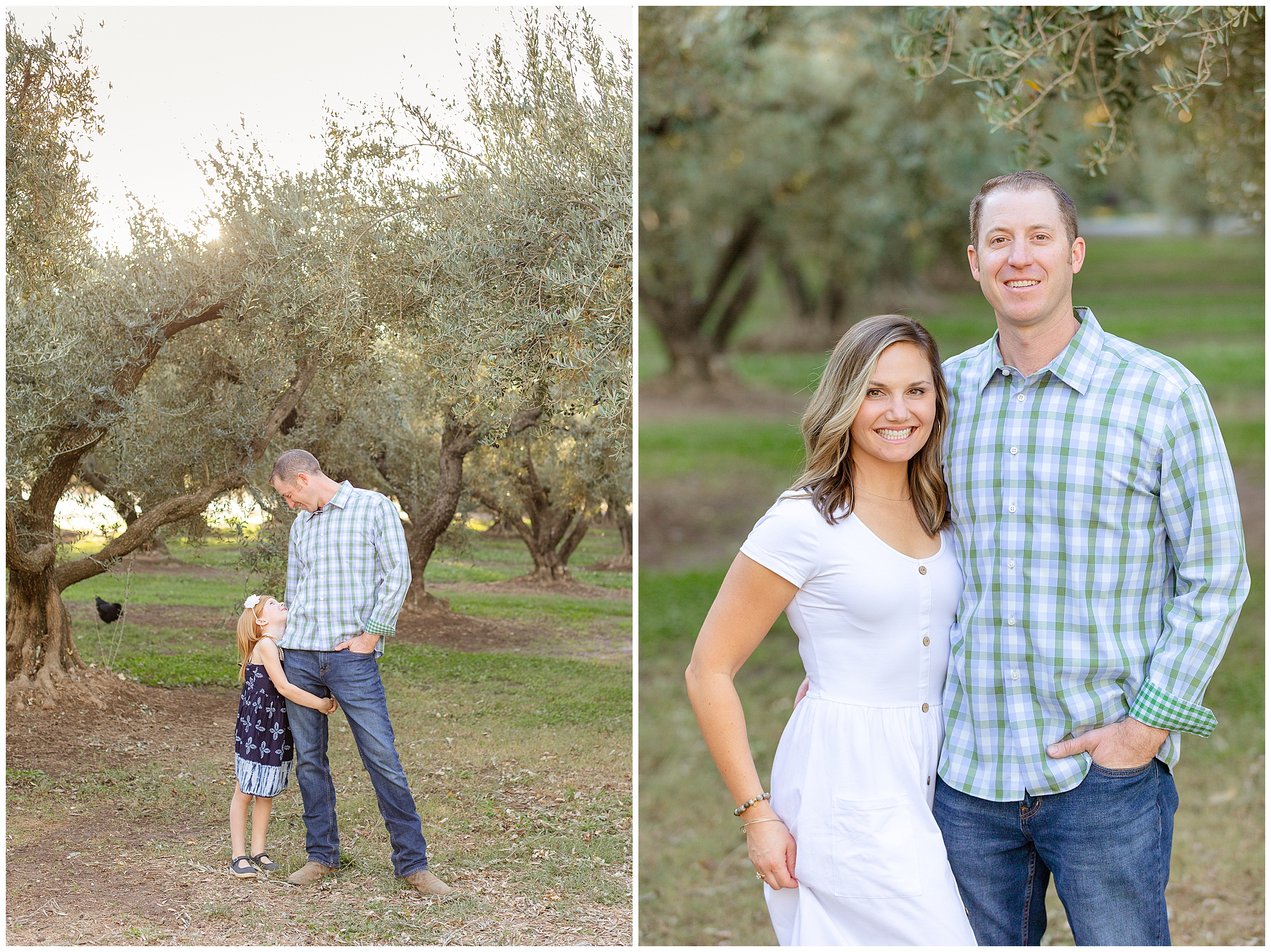 Olive Trees Orland CA Family Session Fall,