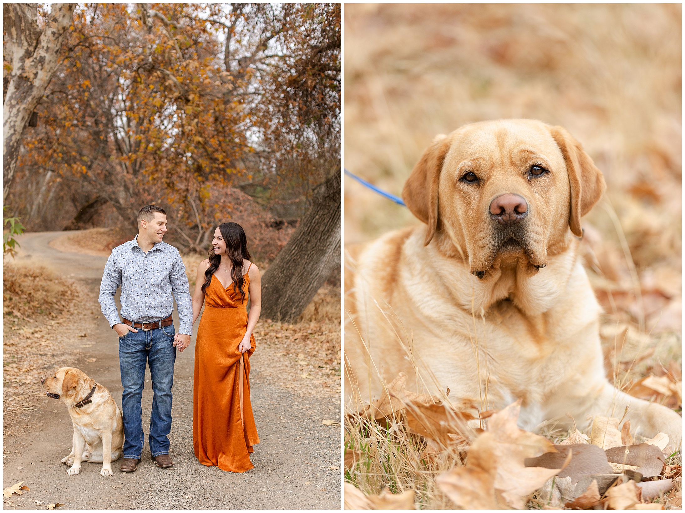 Bidwell Park Golf Course Engagement Session Winter Fall December Dog Champagne Orange Rust Teal,