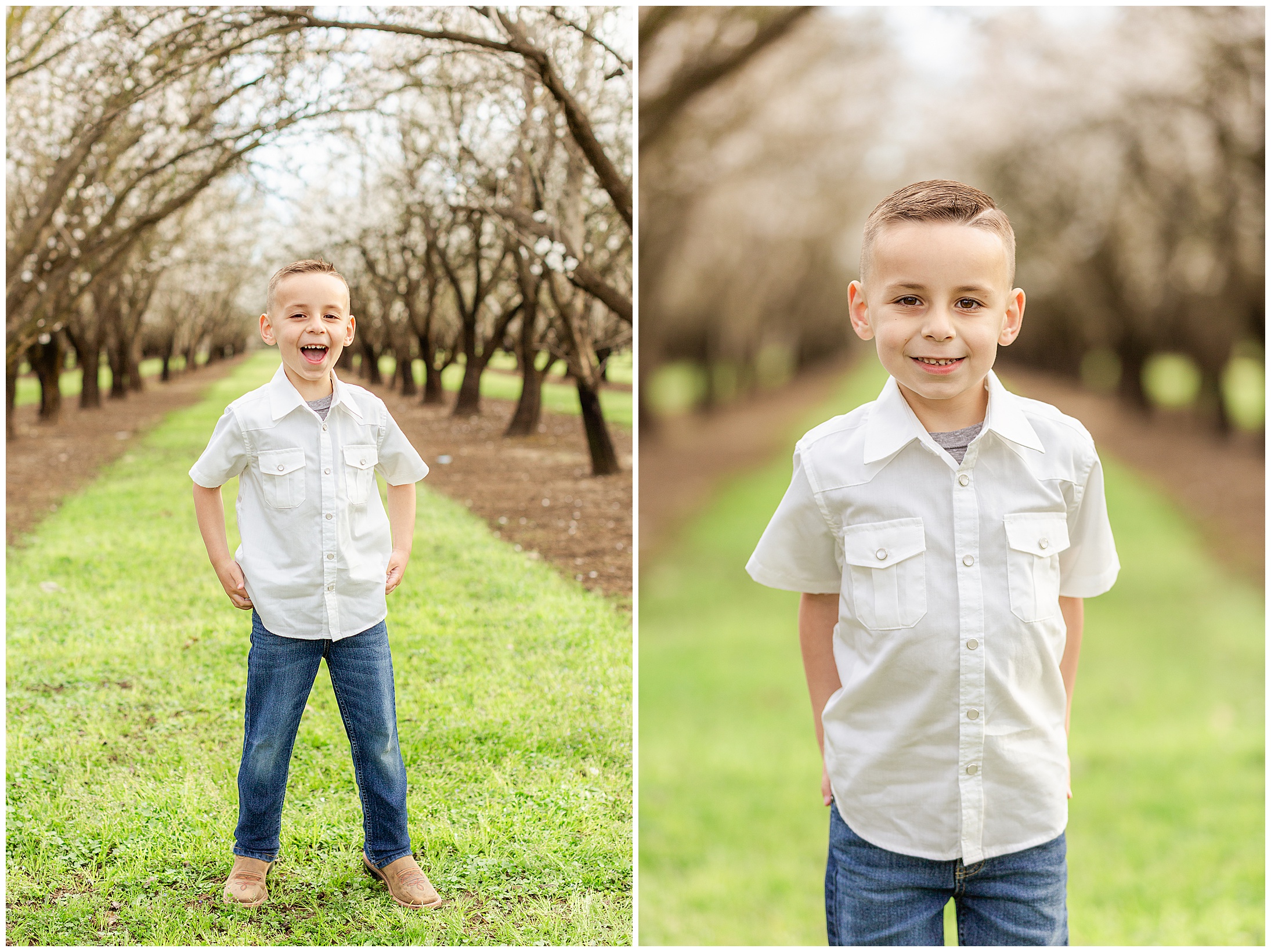 Spring Almond Blossoms Family Session February,