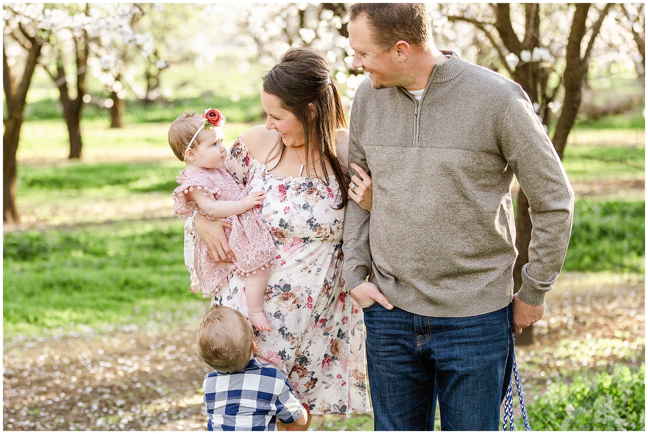Almond Blossom Orchard Durham CA Family Session Dog,