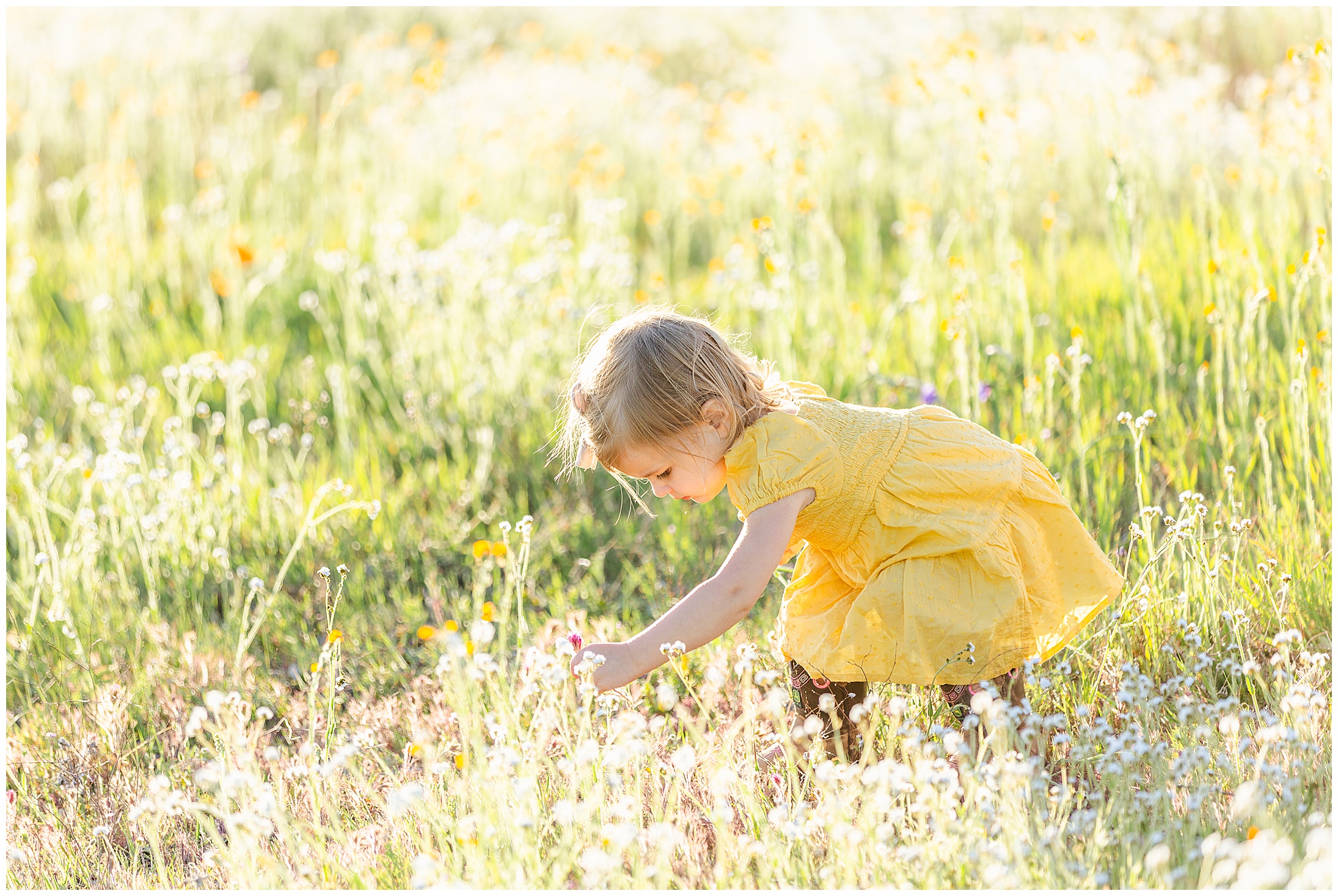 Second Birthday Milestone Session Wildflowers Spring March Yellow,