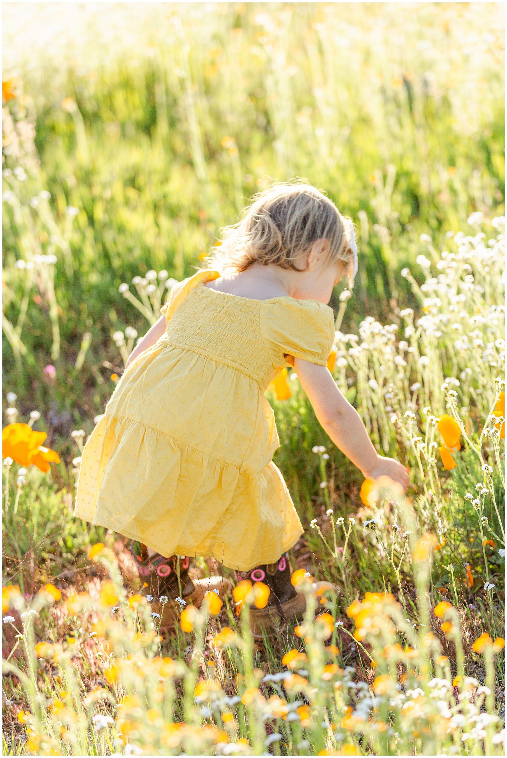 Picking Wildflowers | Kristi + Birthday Girl