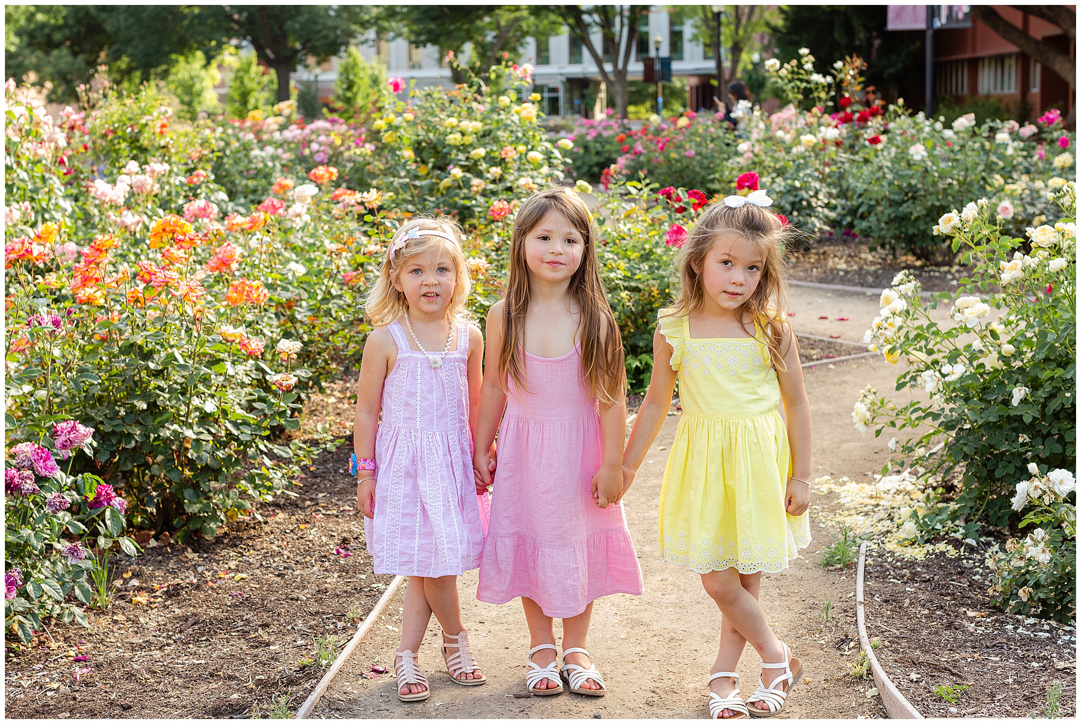 Large Family Session Chico State Chico CA Rose Garden Brick,