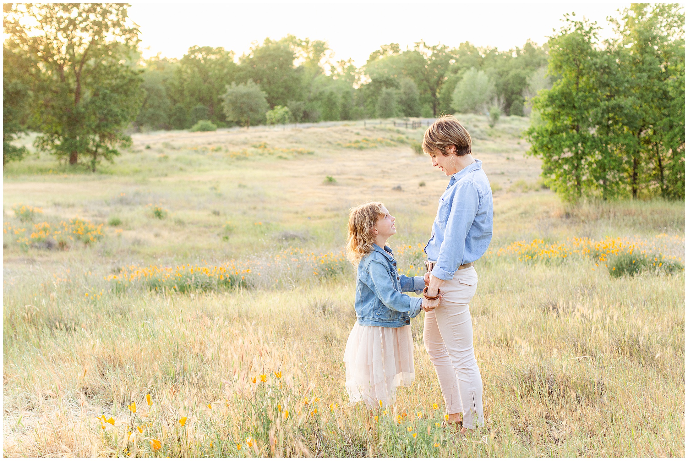 Grass Field Family Session Chico CA Poppy Golden Hour,