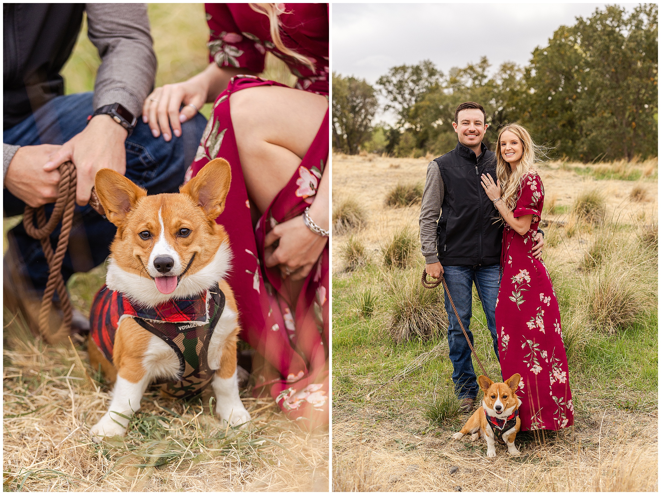 Grass Field Mini Sessions Chico CA Family Dog Parents Hat Dress Sisters,