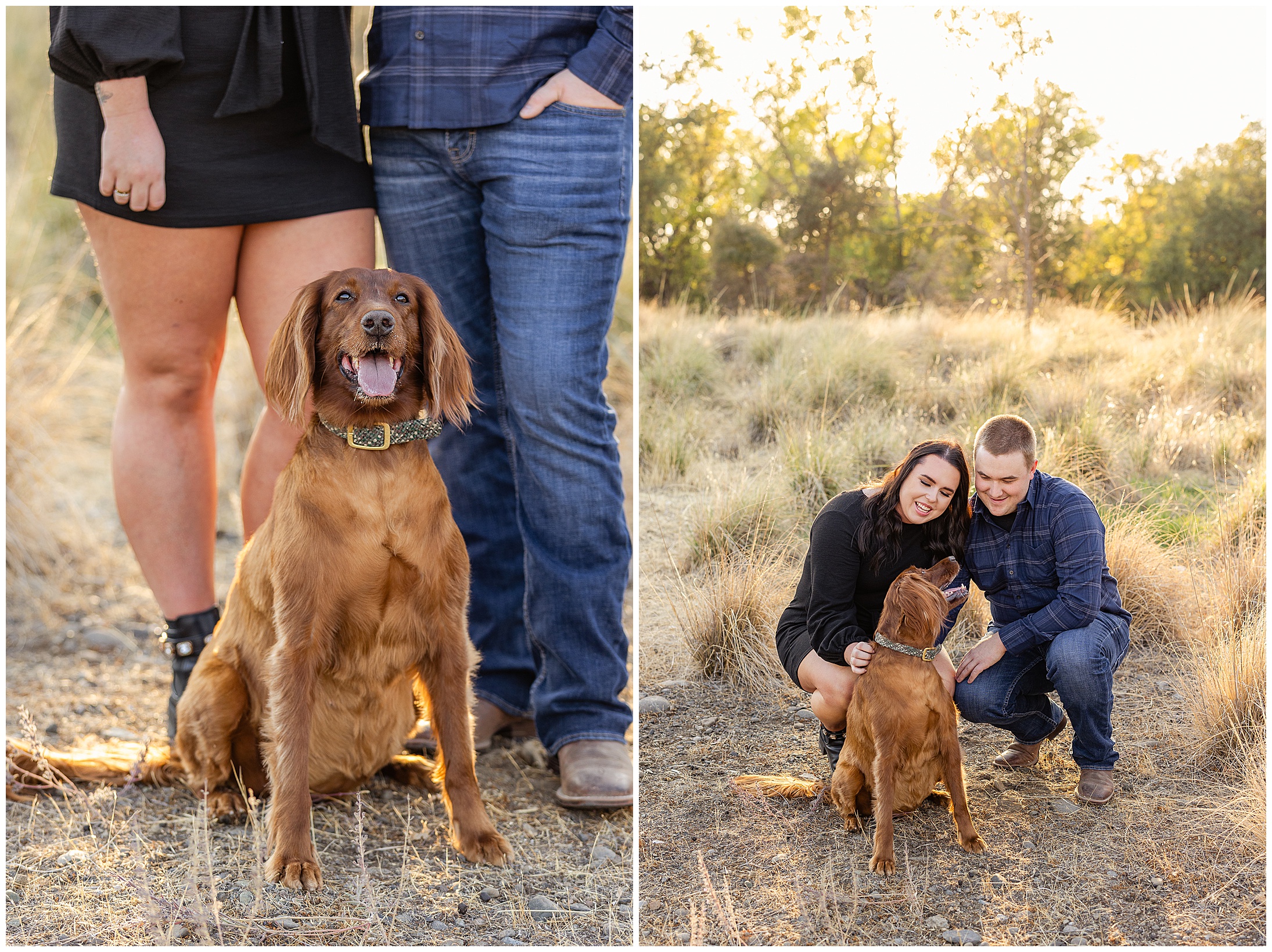 Grass Field Couple Portraits with Irish Setter Dog Chico CA October Fall,
