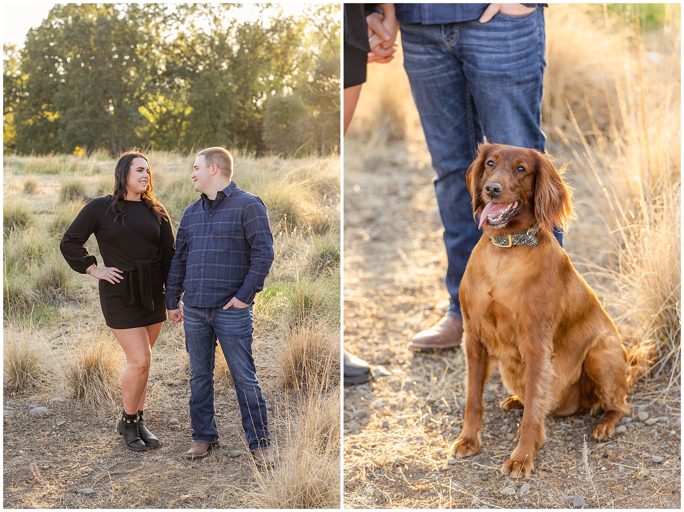 Grass Field Couple Portraits with Irish Setter Dog Chico CA October Fall,