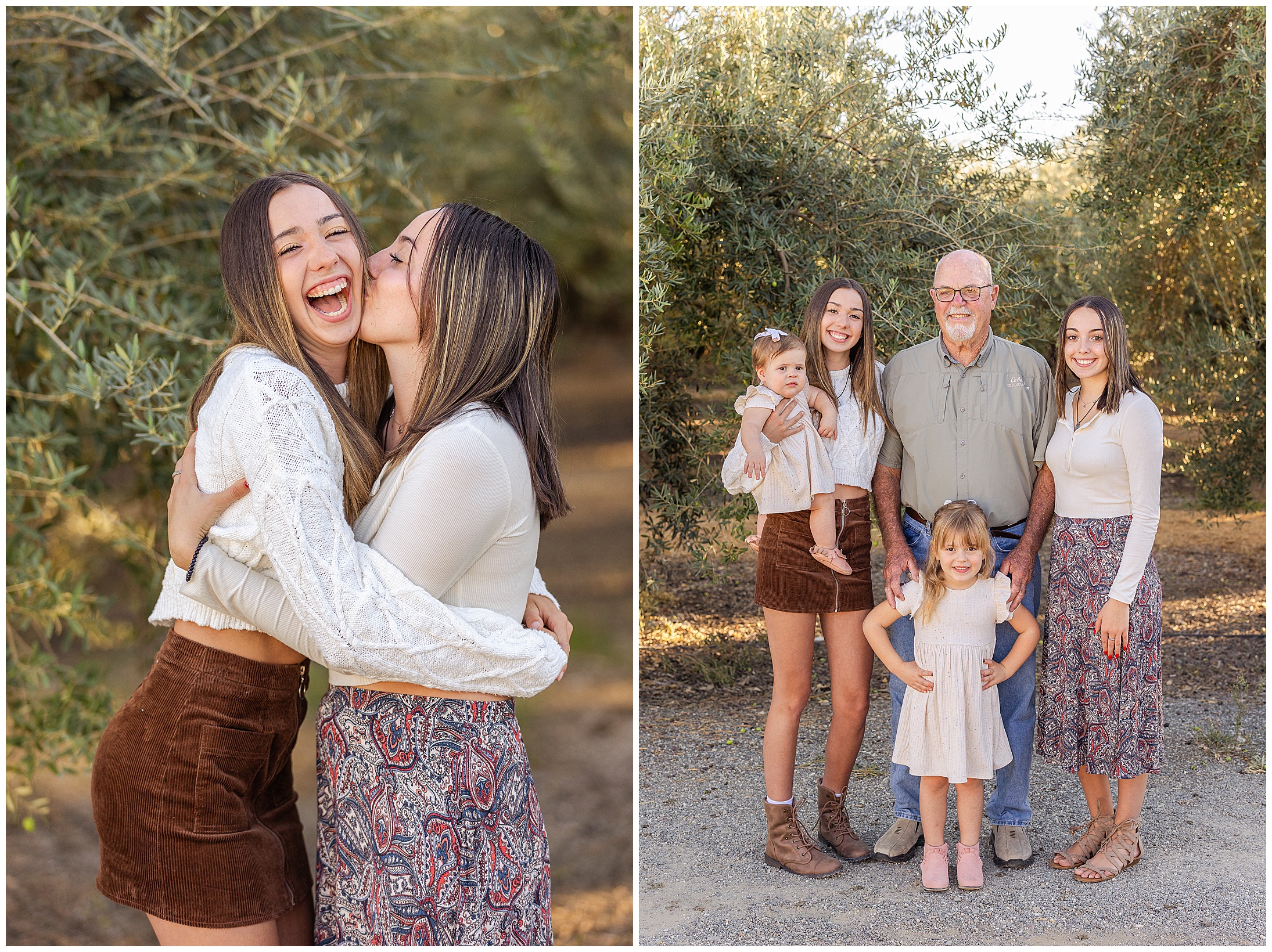Olive Orchard Family Session Orland CA Olive Tree,