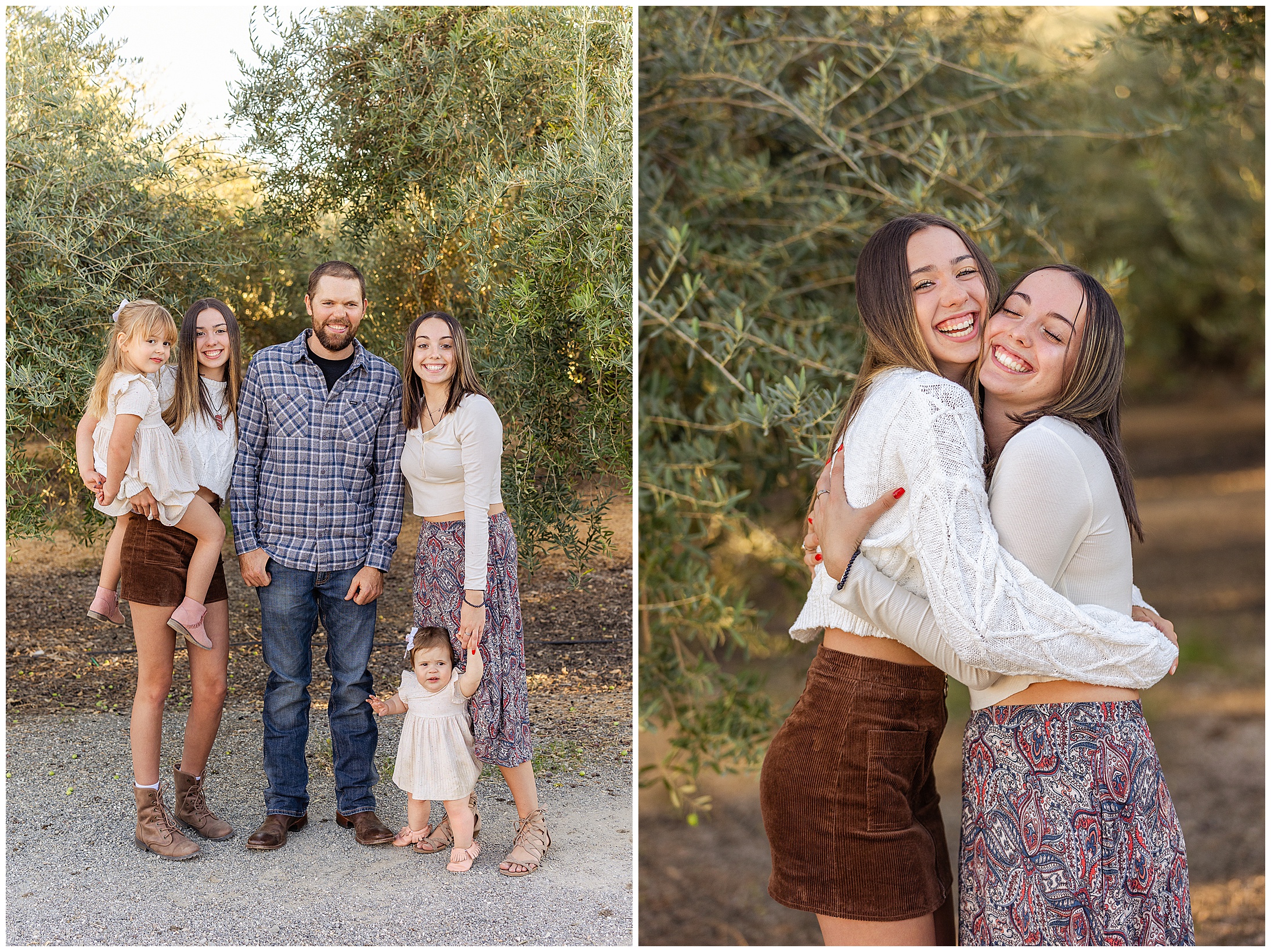Olive Orchard Family Session Orland CA Olive Tree,