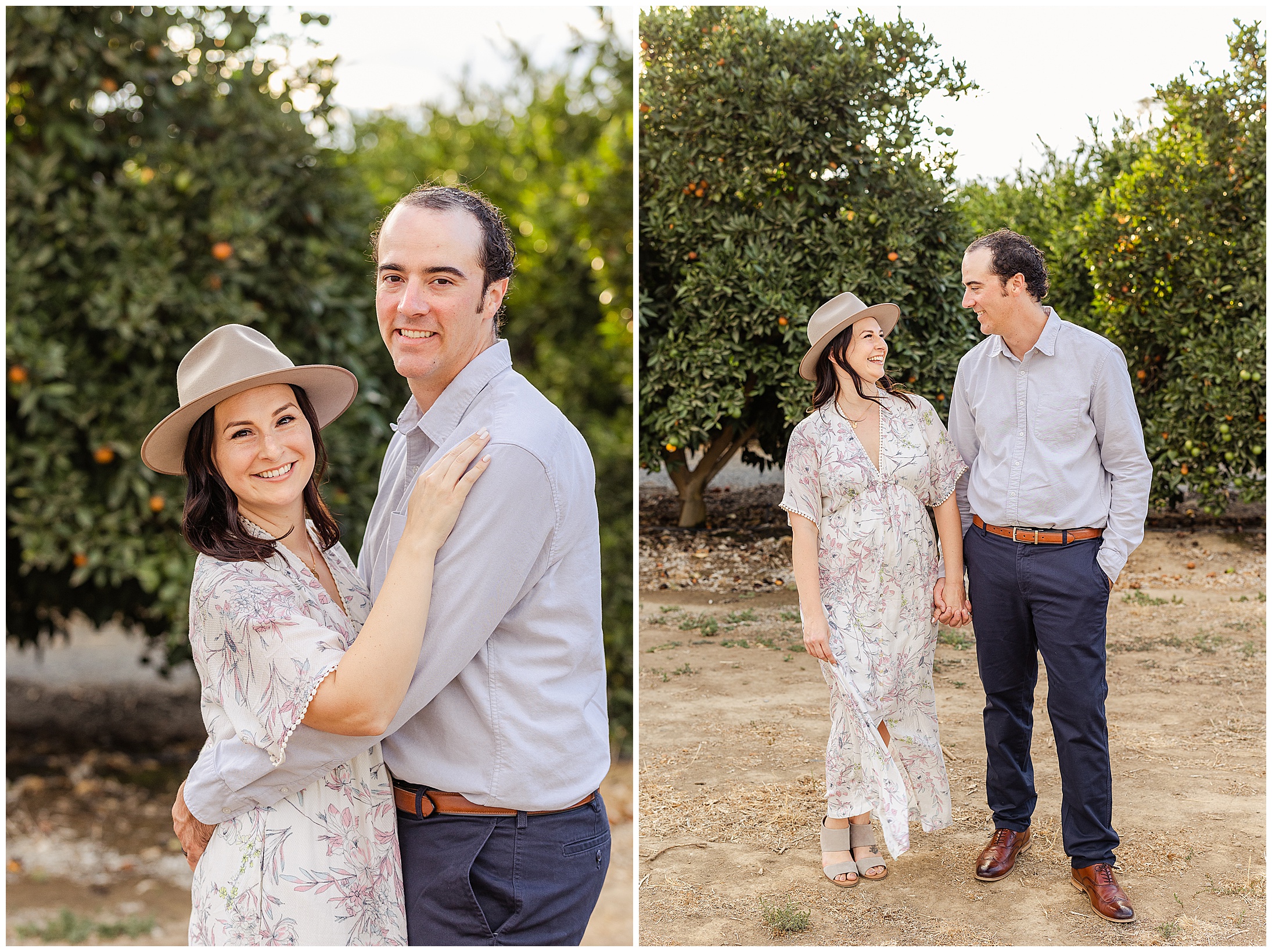 Orange Orchard Grove Extended Family Session Orland CA Orange Trees,