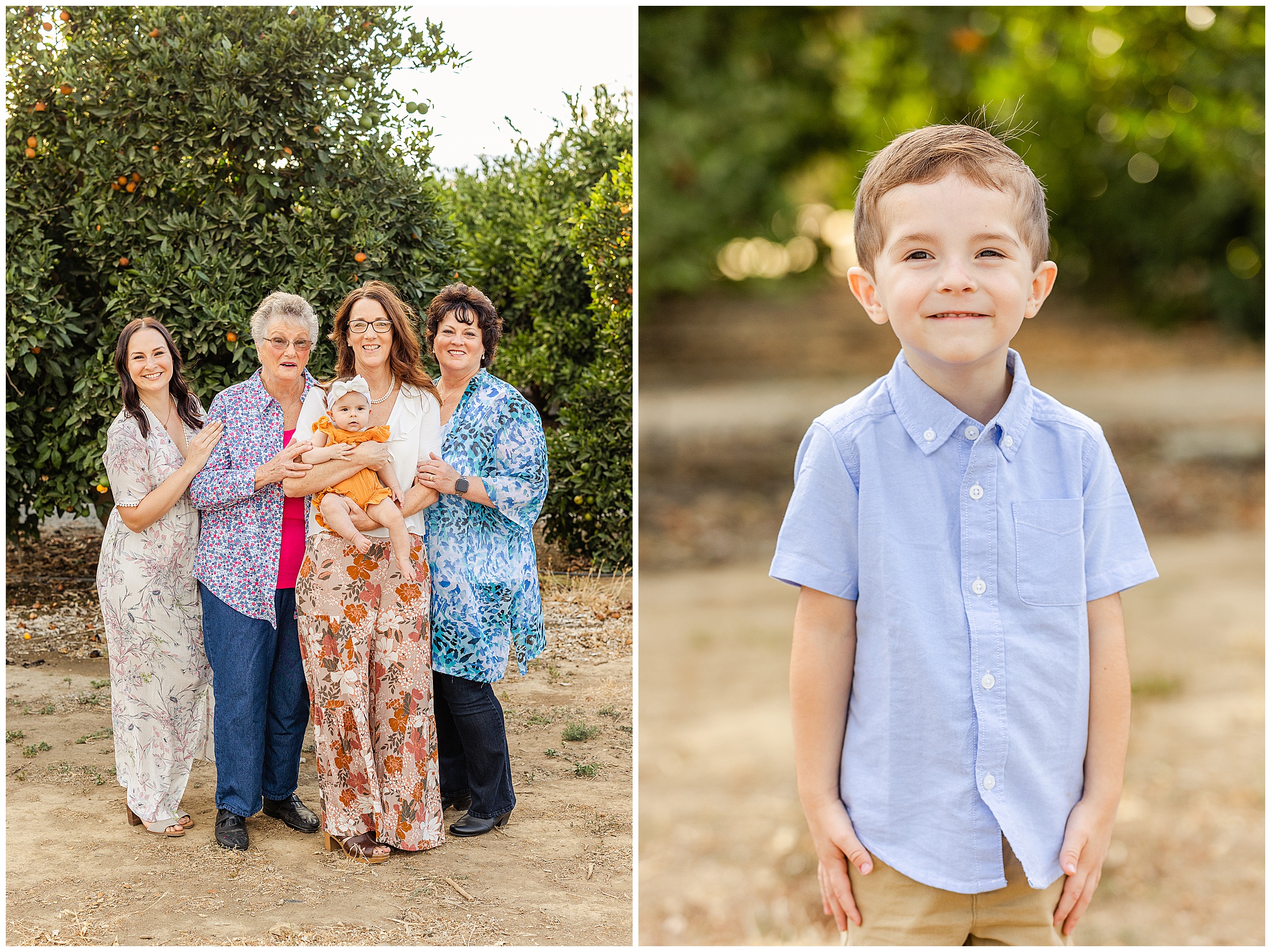 Orange Orchard Grove Extended Family Session Orland CA Orange Trees,