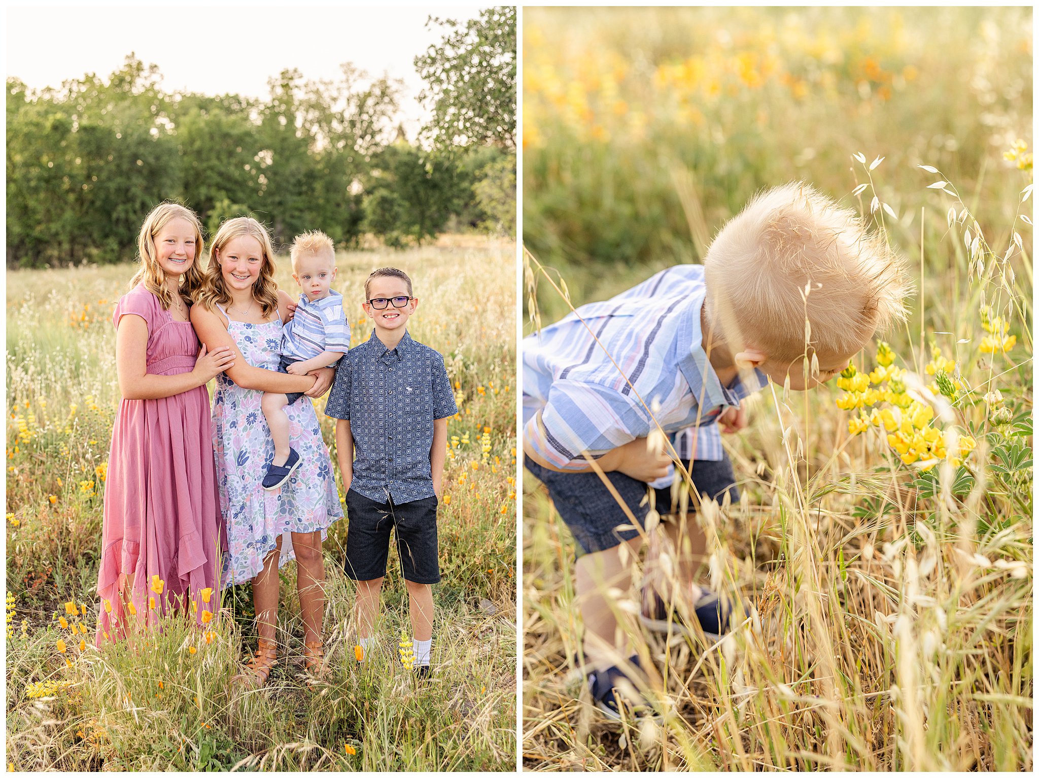 Spring Wildflower Family Session Chico CA April Extended Grandparents Cousins Sisters Poppy Lupin,