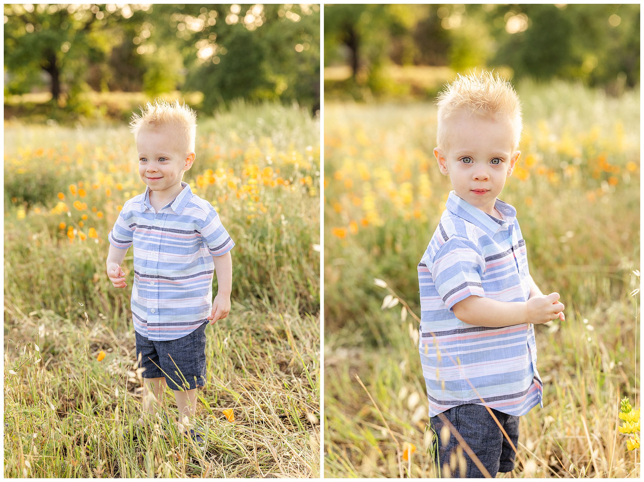Spring Wildflower Family Session Chico CA April Extended Grandparents Cousins Sisters Poppy Lupin,