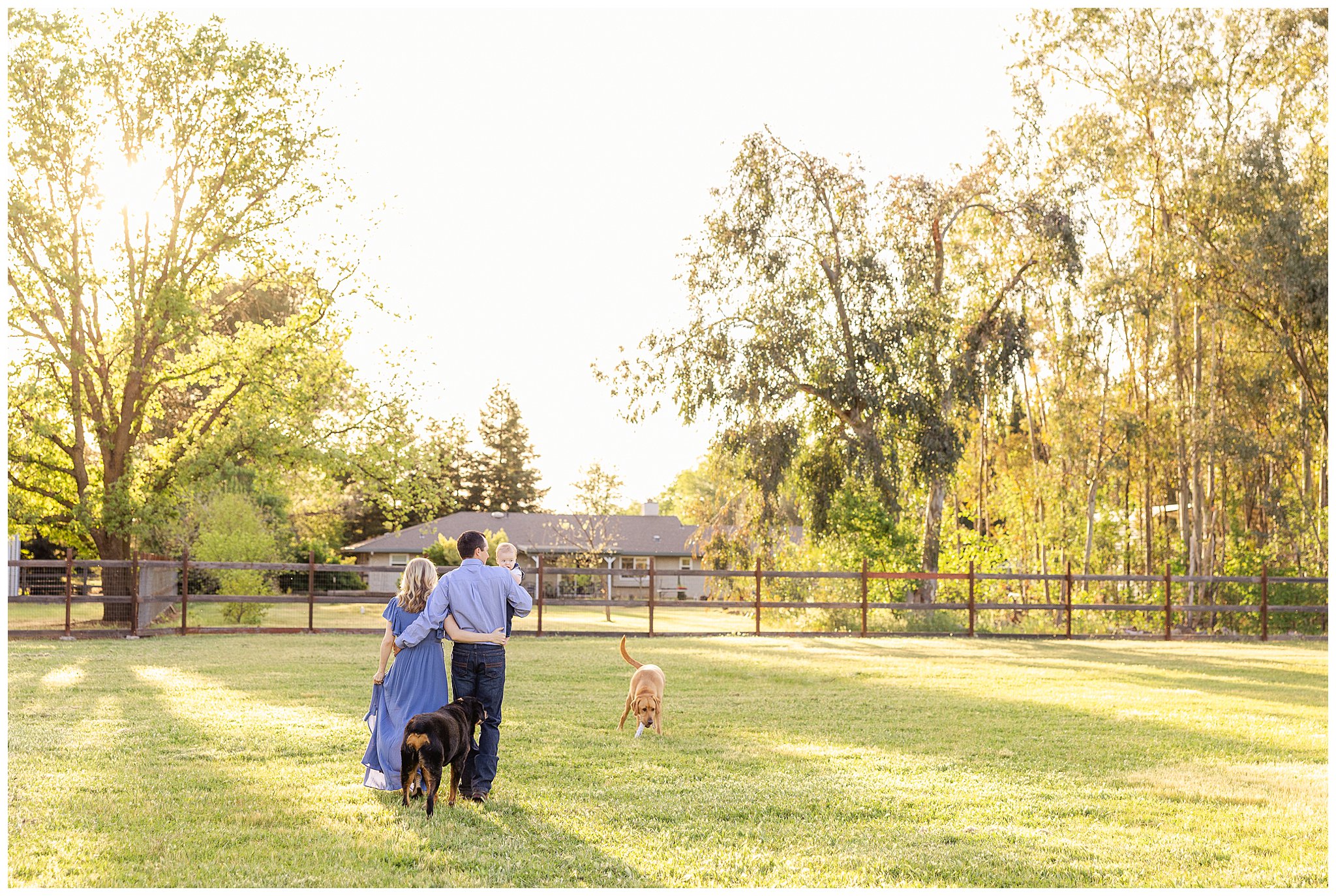 Backyard Family Session with Dogs Yellow Lab Rottweiler Green Grass Ranch Spring March,