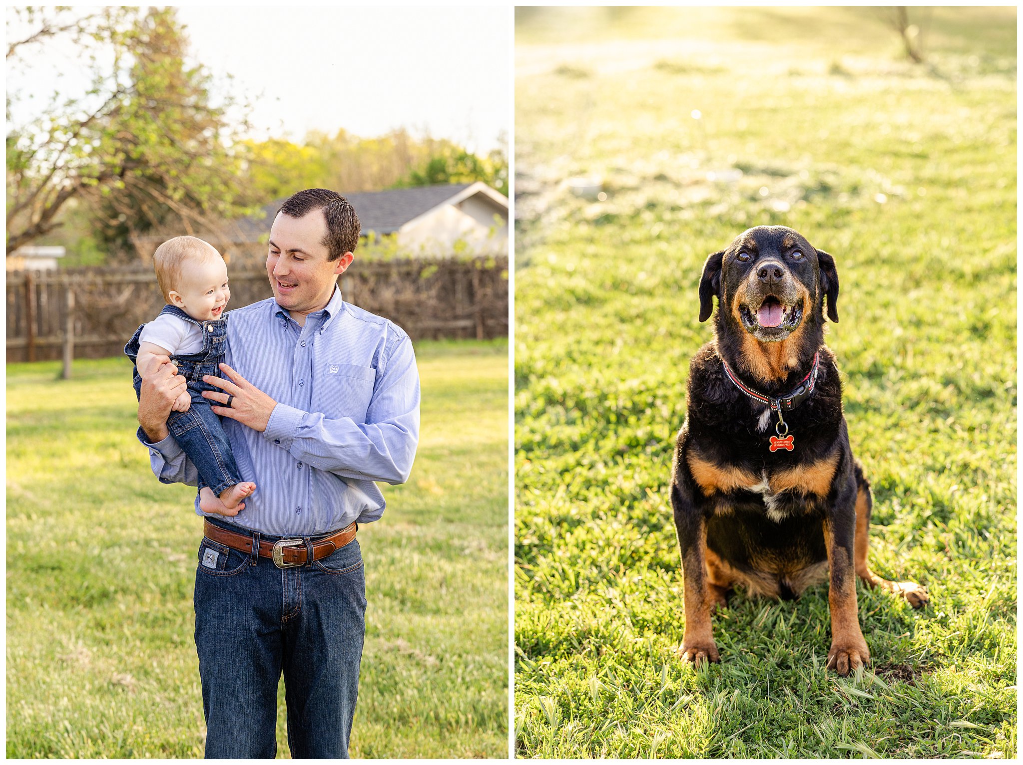 Backyard Family Session with Dogs Yellow Lab Rottweiler Green Grass Ranch Spring March,
