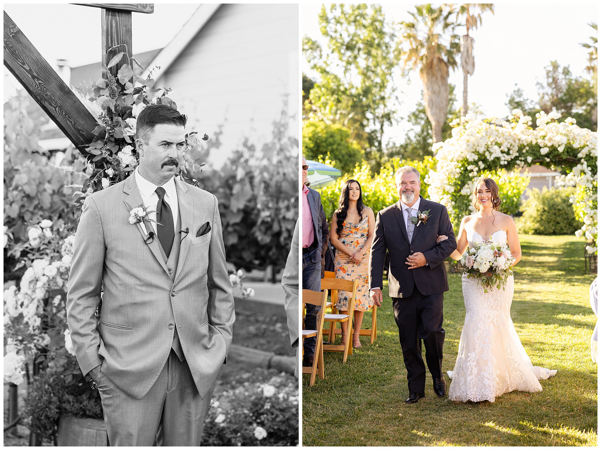 Scribner Bend Vineyard Wedding Sacramento CA Roses Arch Dusty Rose Grapevines Sunset Tent Garden Father Daughter First Look Gray Suits,