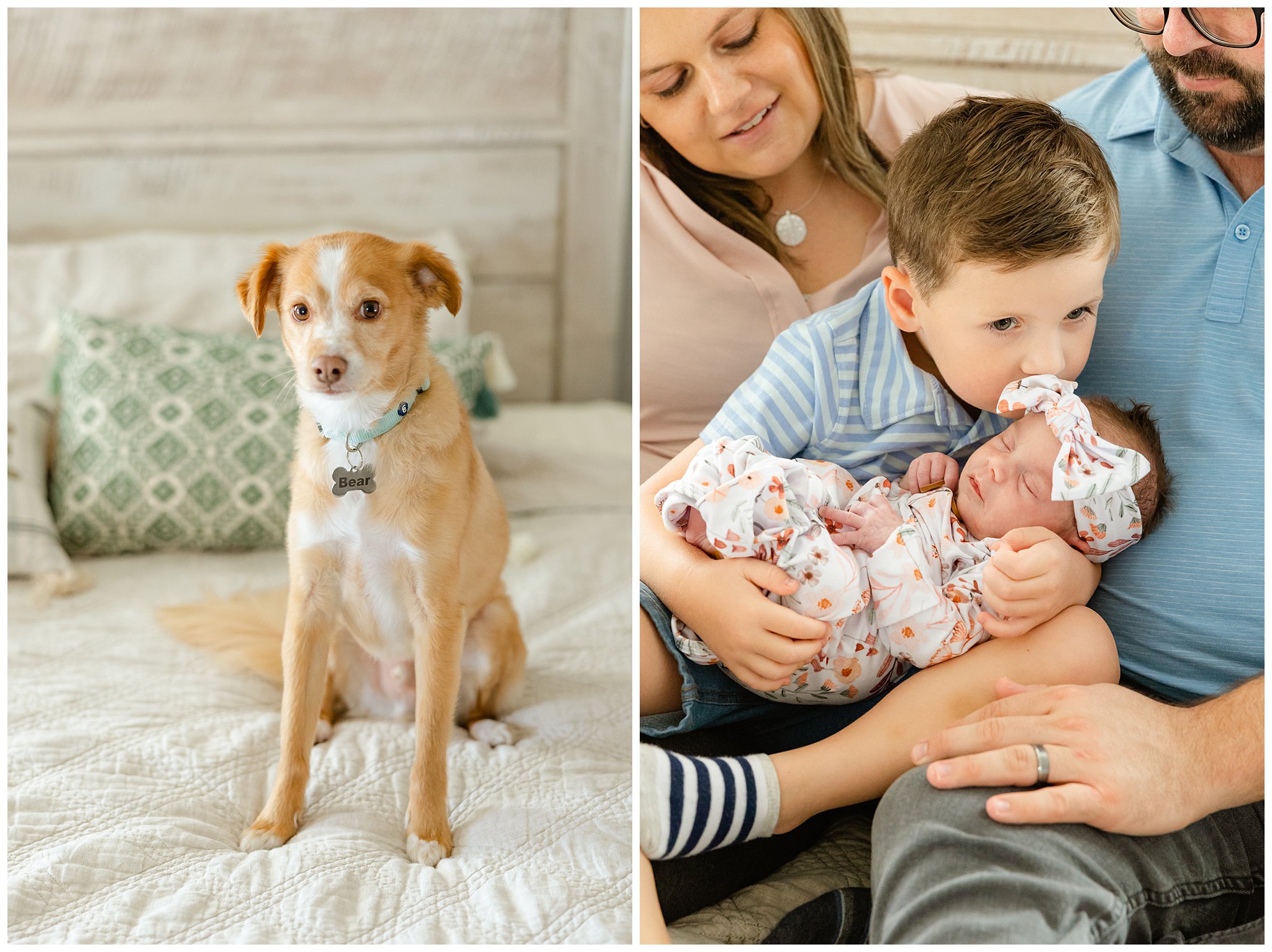In Home Newborn Lifestyle Session Chico CA Big Brother Bedroom Nursery Dogs,