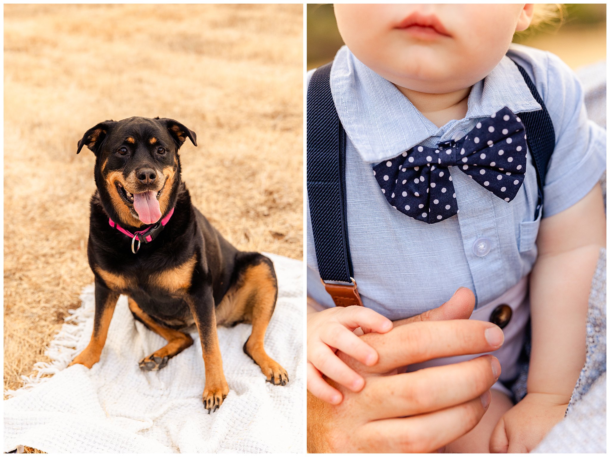 Fall Family Session Chico CA Private Residence September Dogs,