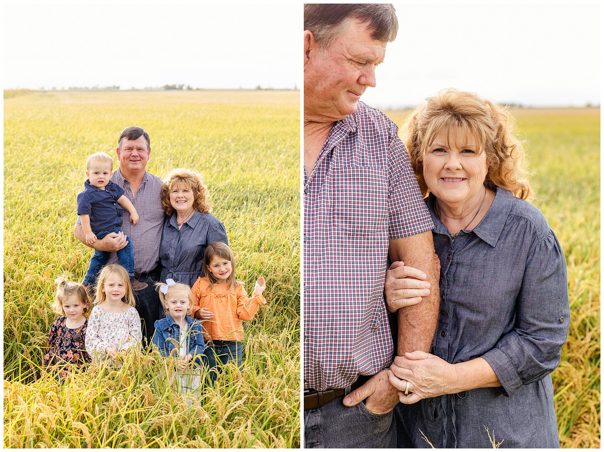 Rice Fields Family Session Large Family Extended Glenn County Fall September Cousins Orange,