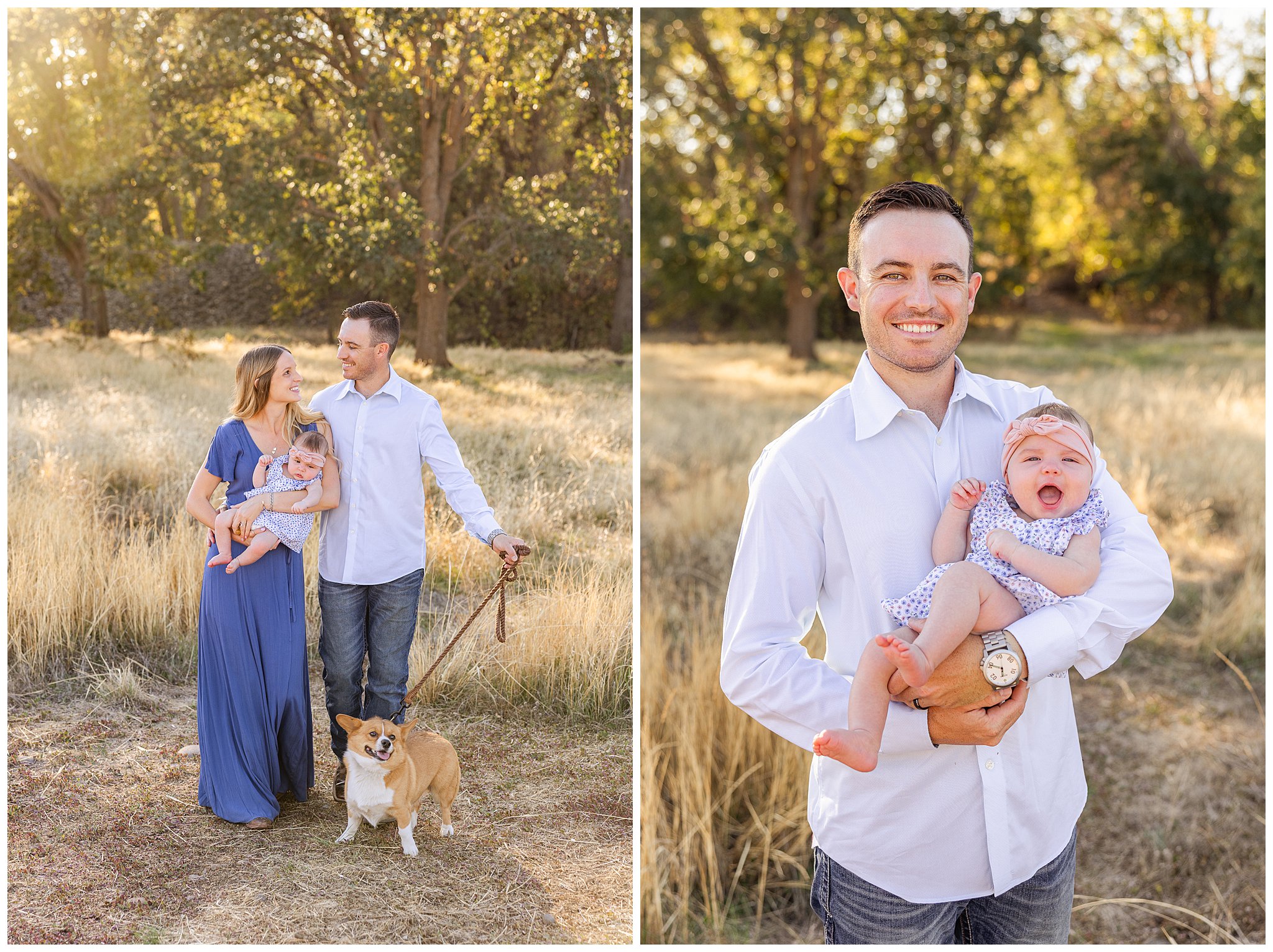 Grass Field Fall Mini Sessions Chico CA October Family Maternity Gender Reveal Baby Siblings Dog,