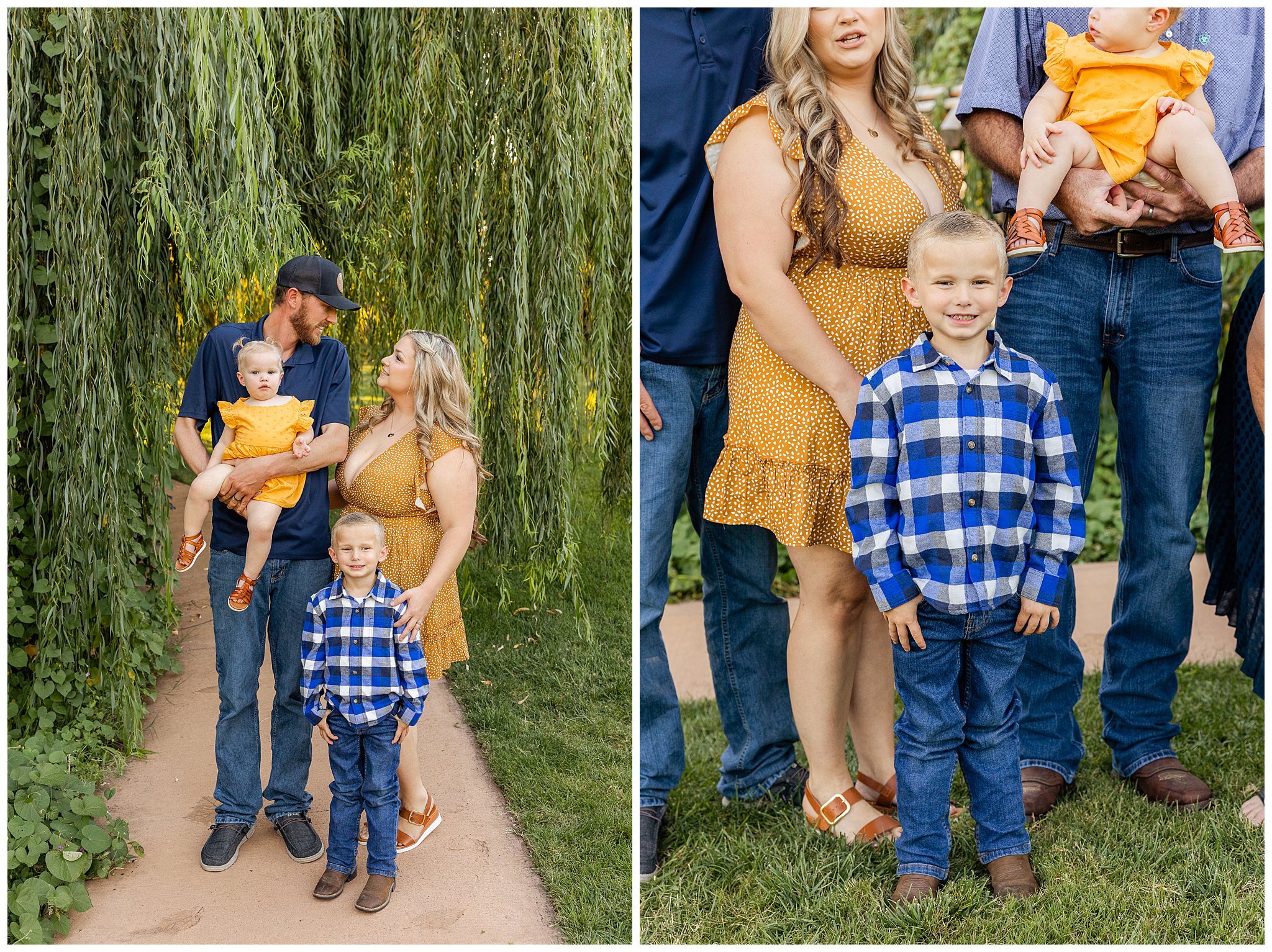 White Ranch Events Family Session Chico CA Extended Family Large Family Willow Tree Fall September,