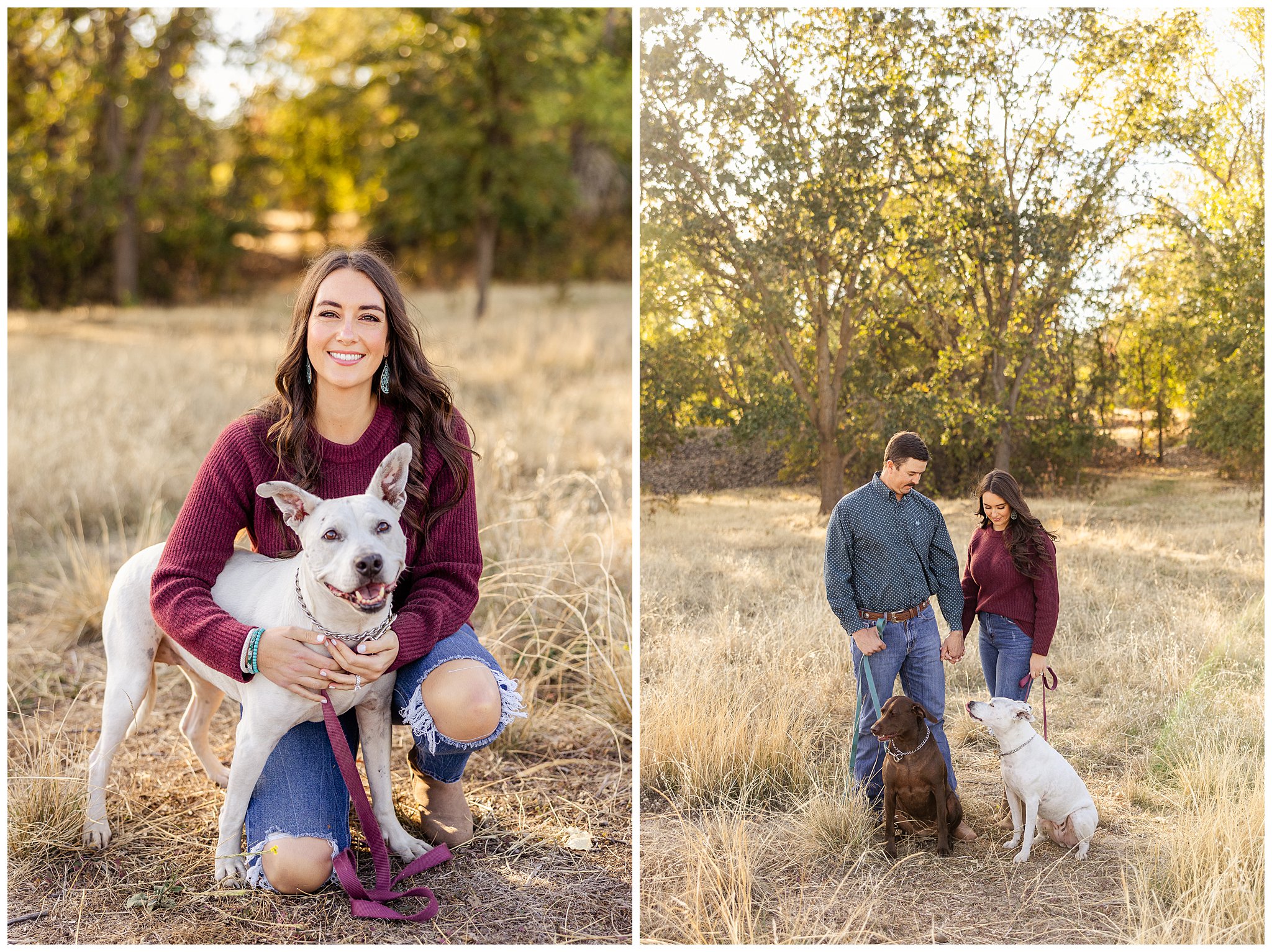 Grass Field Family Session Couple Chico CA Fall October Dogs Labrador,