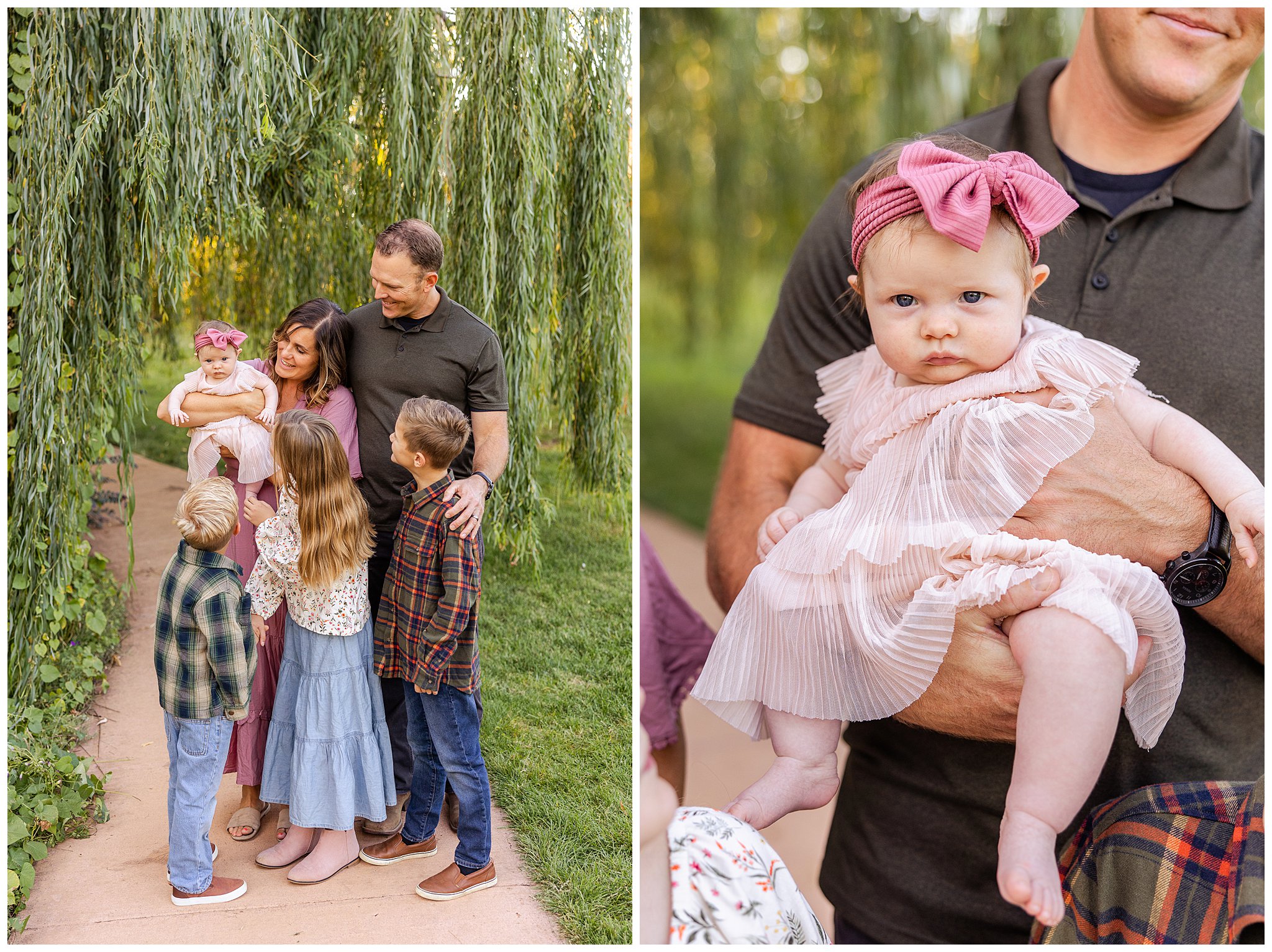 White Ranch Events Fall Family Mini Sessoins Chico CA Willow Tree October,