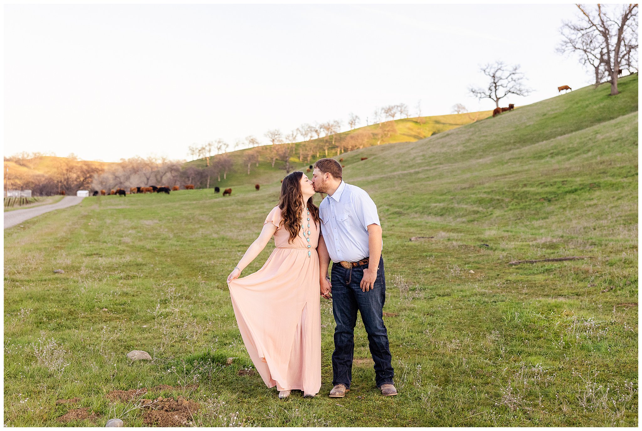 Wheat Field Engagement Session Corning Paskenta Winter January Barn Cattle Rolling Hills Mountains,