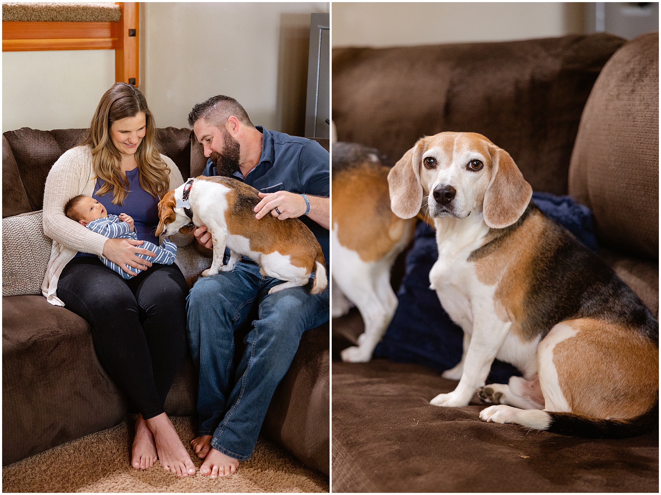 In Home Newborn Lifestyle Session Beagles Baby Boy Forest Ranch CA,